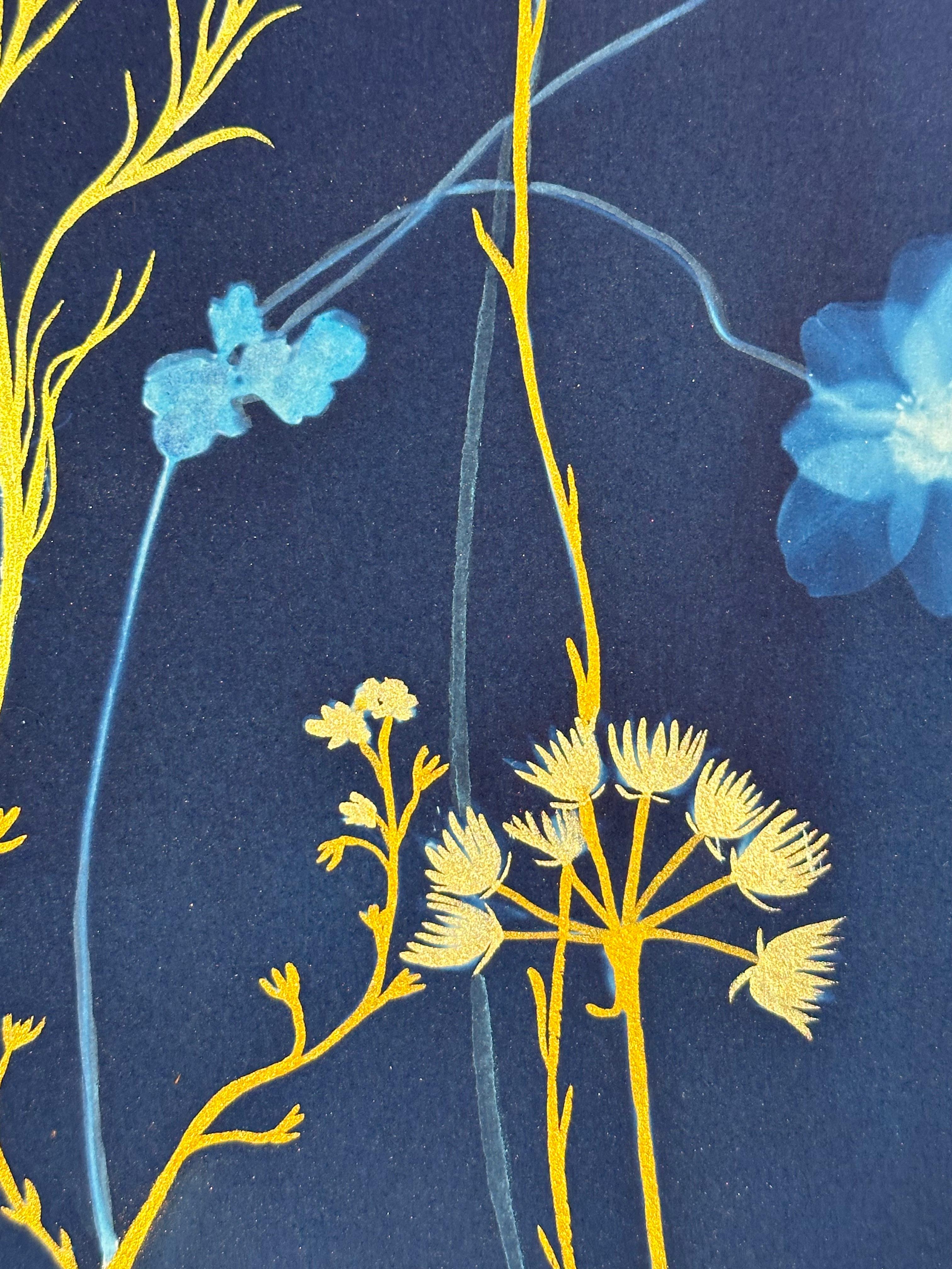 Felci Gold Flora - Pittura botanica in cianotipia Fiori blu Felci, 2021-'24 2