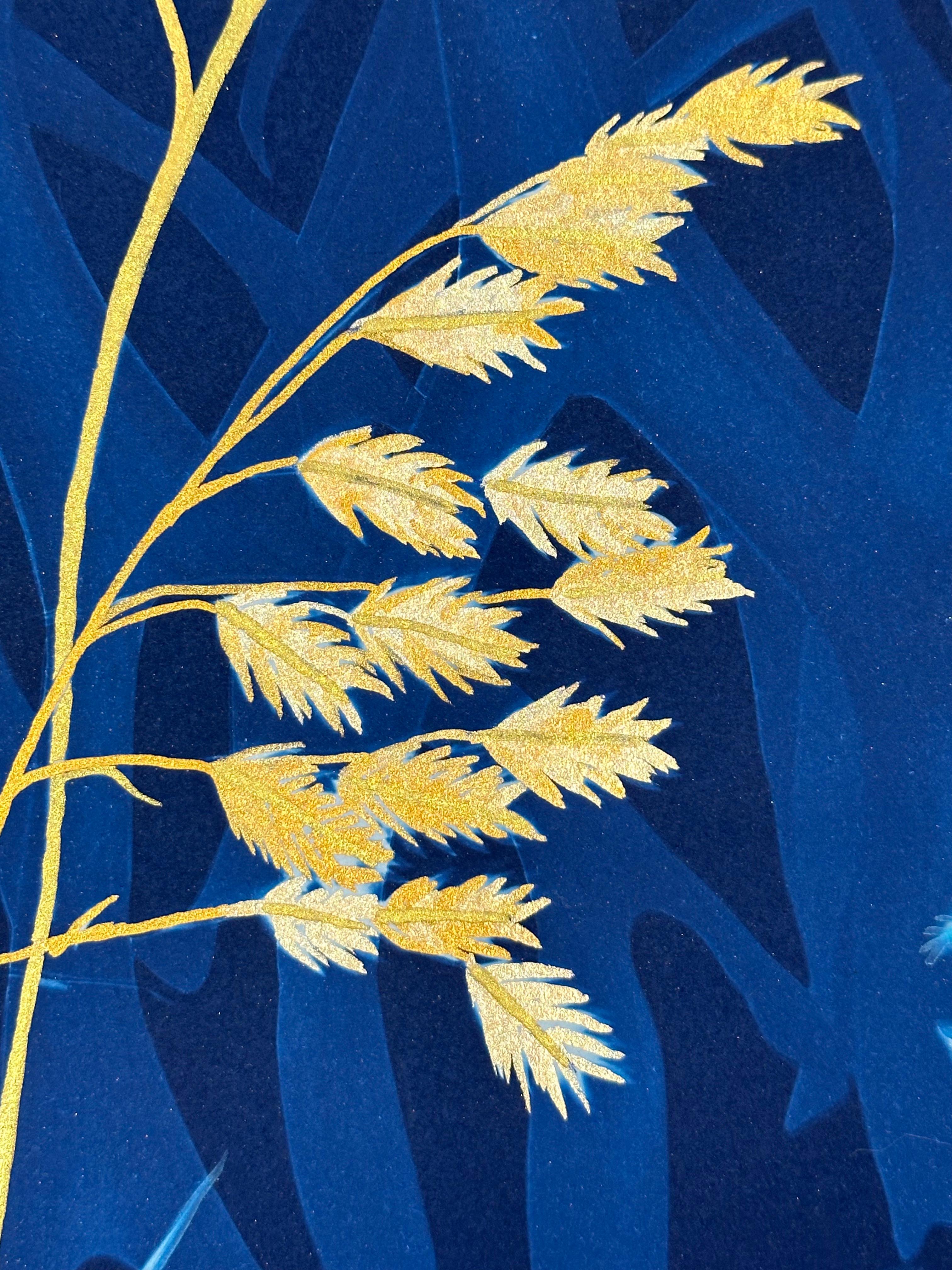 Felci Gold Flora - Pittura botanica in cianotipia Fiori blu Felci, 2021-'24 3