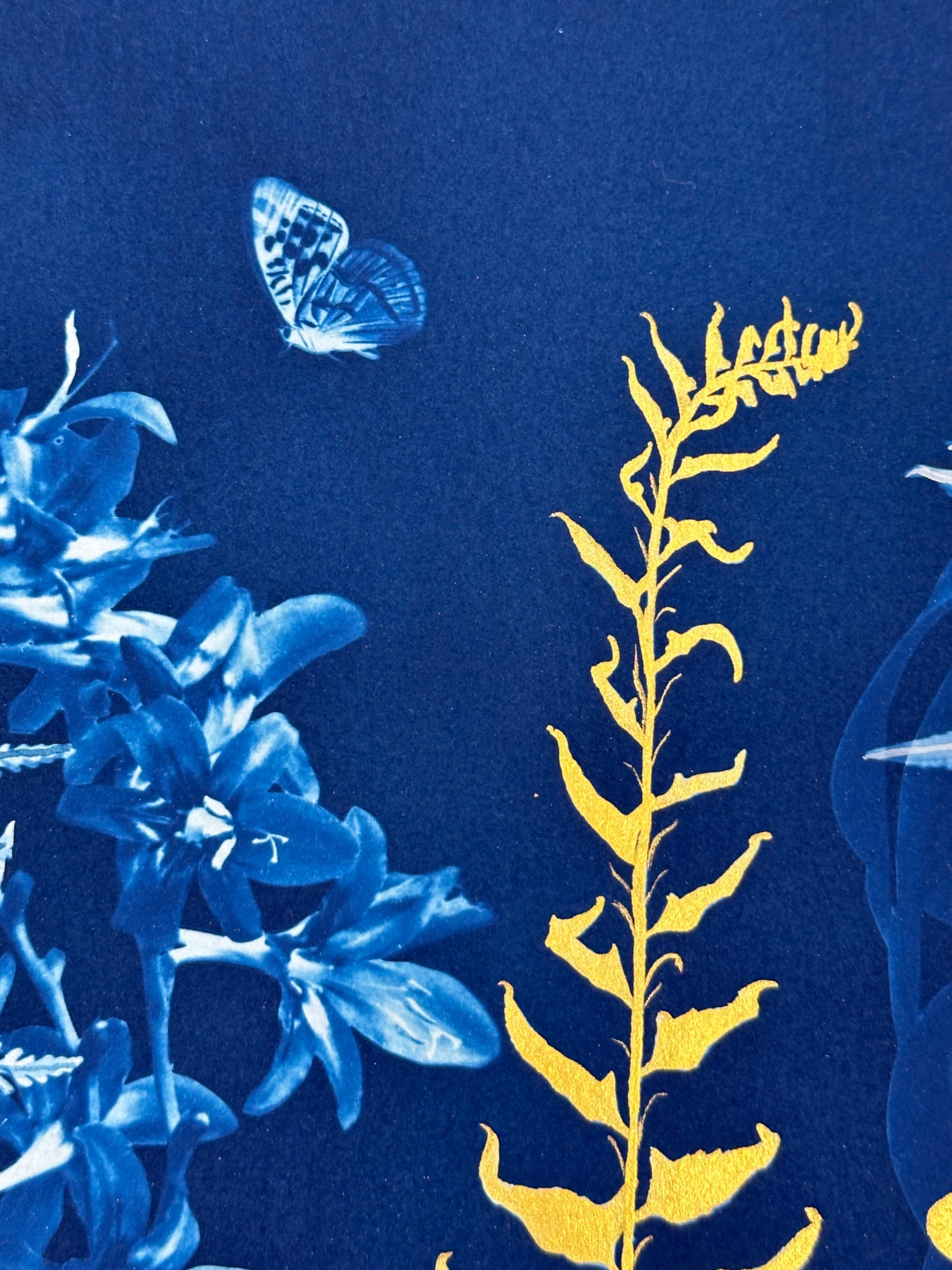 Felci Gold Flora - Pittura botanica in cianotipia Fiori blu Felci, 2021-'24 5