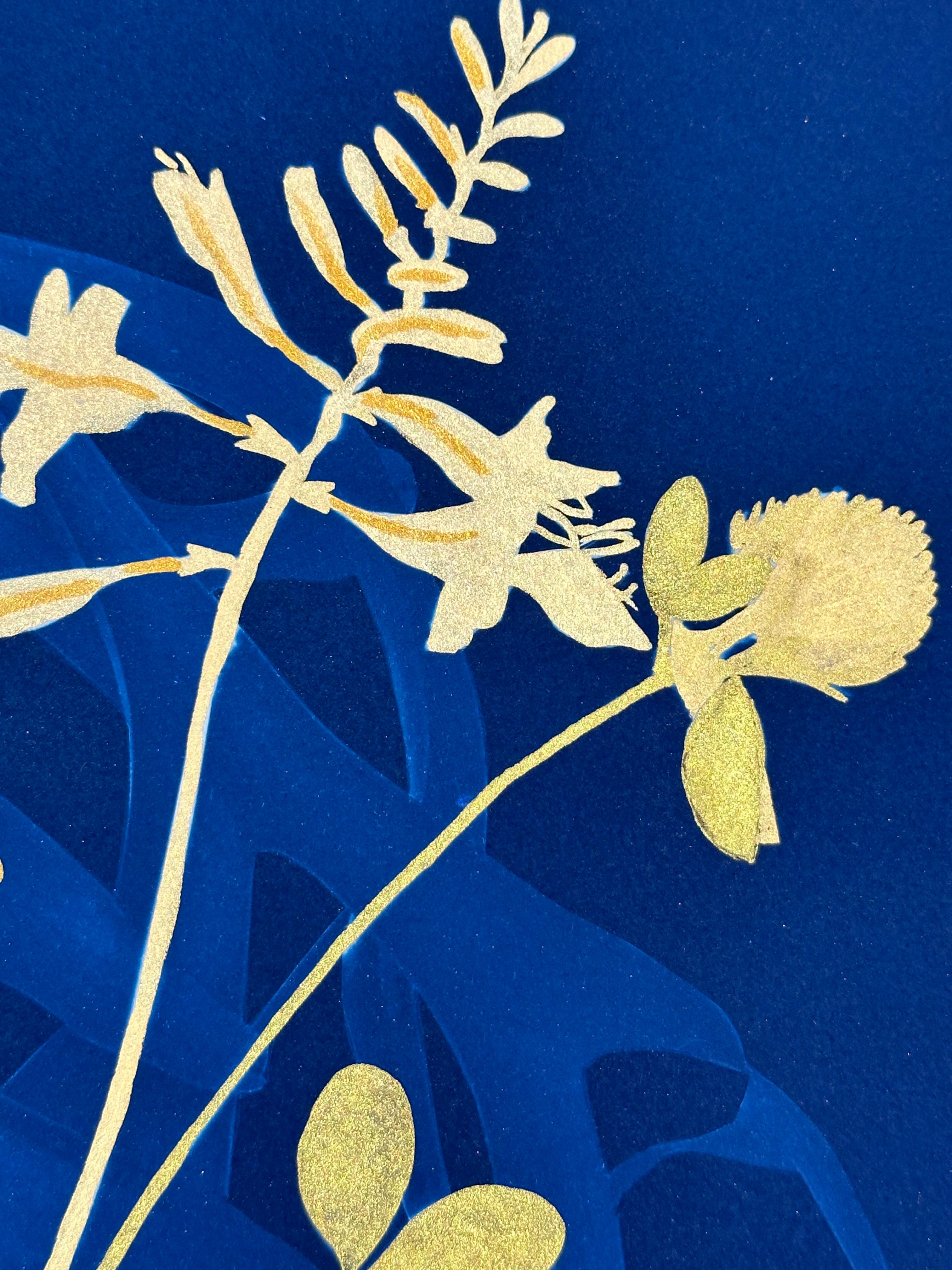 Felci Gold Flora - Pittura botanica in cianotipia Fiori blu Felci, 2021-'24 4