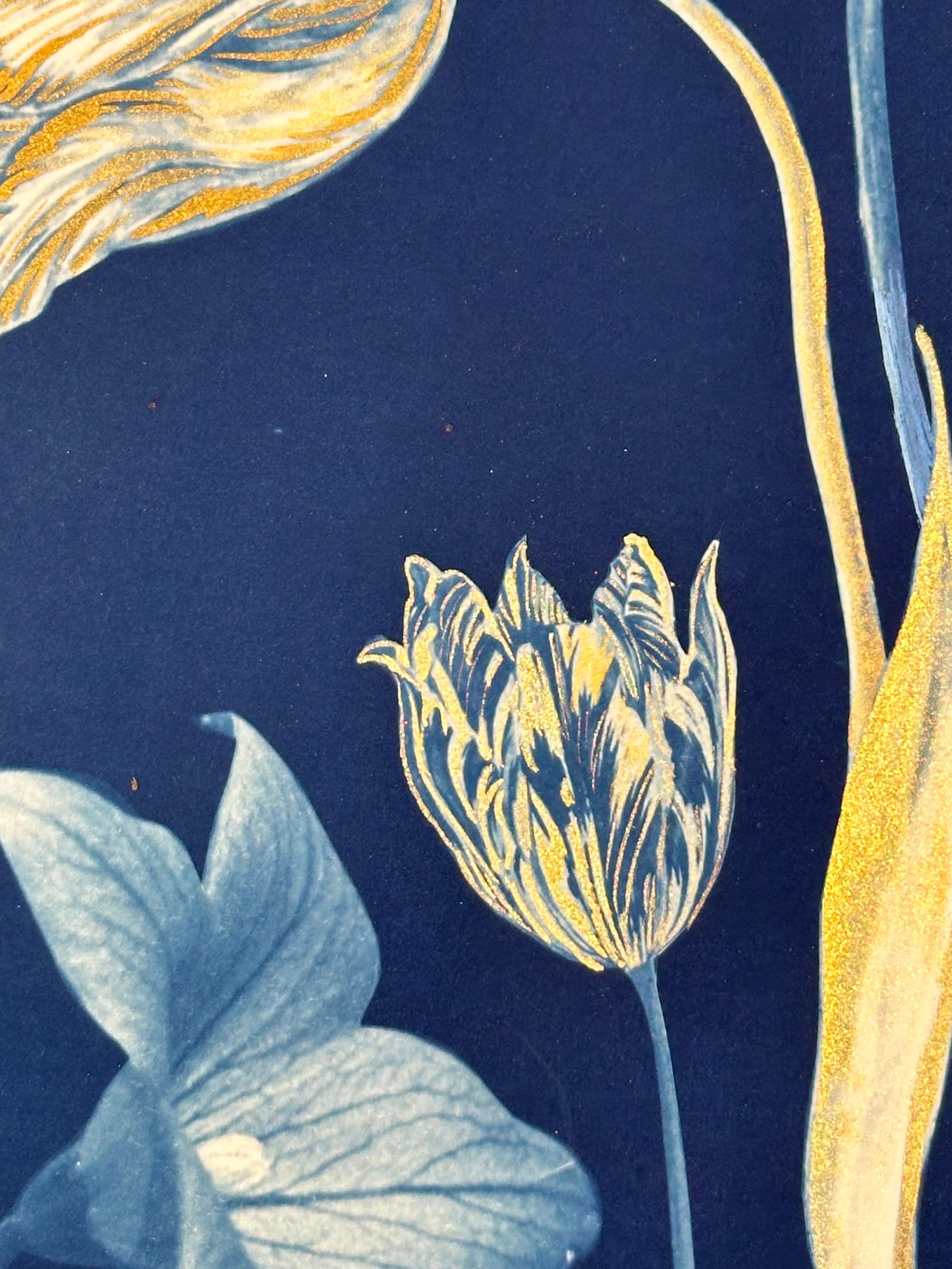 Gold Flora Shadows Tulips - Botanical Cyanotype Painting Flowers, 2023-'24 8