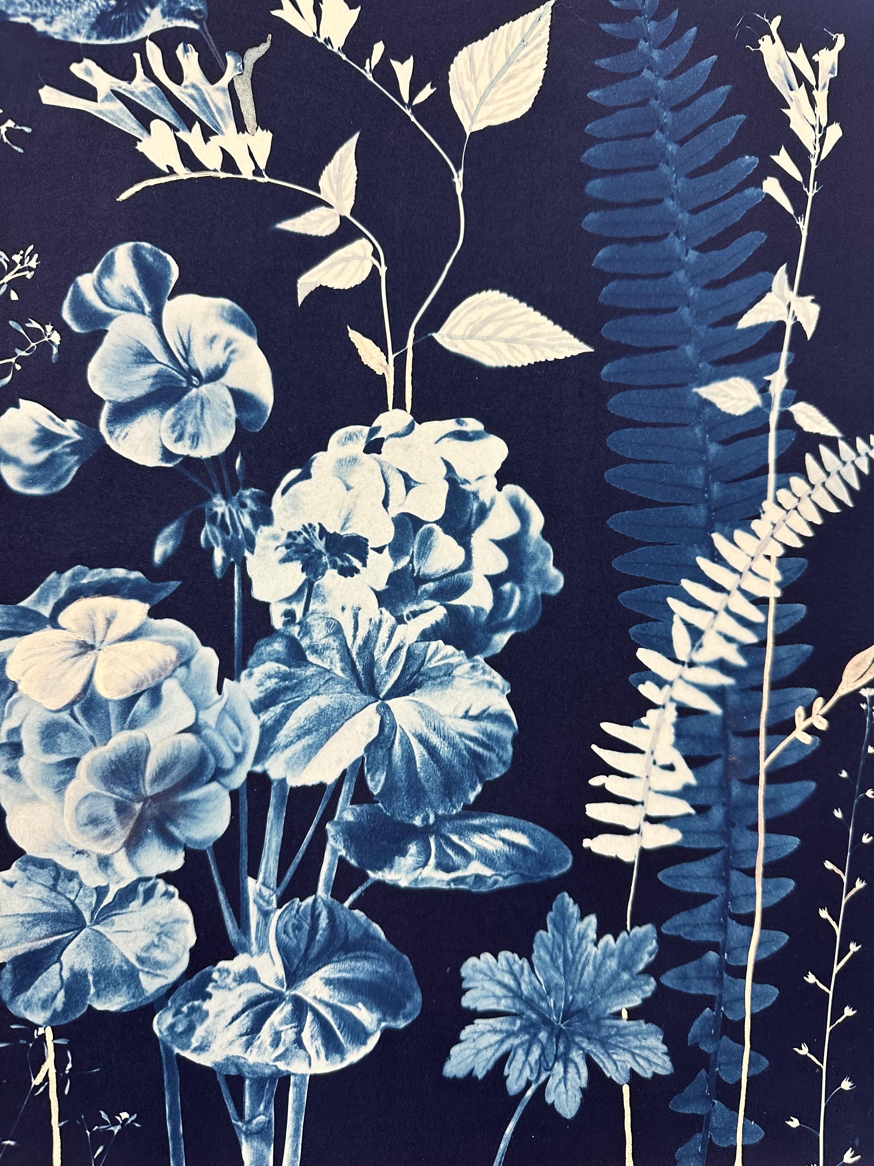 In this botanical cyanotype painting in watercolor, gouache, India ink and cyanotype on Arches platine paper, meticulously detailed geraniums, ferns and a hummingbird are depicted in white and pale blue against deep indigo blue background. Signed on