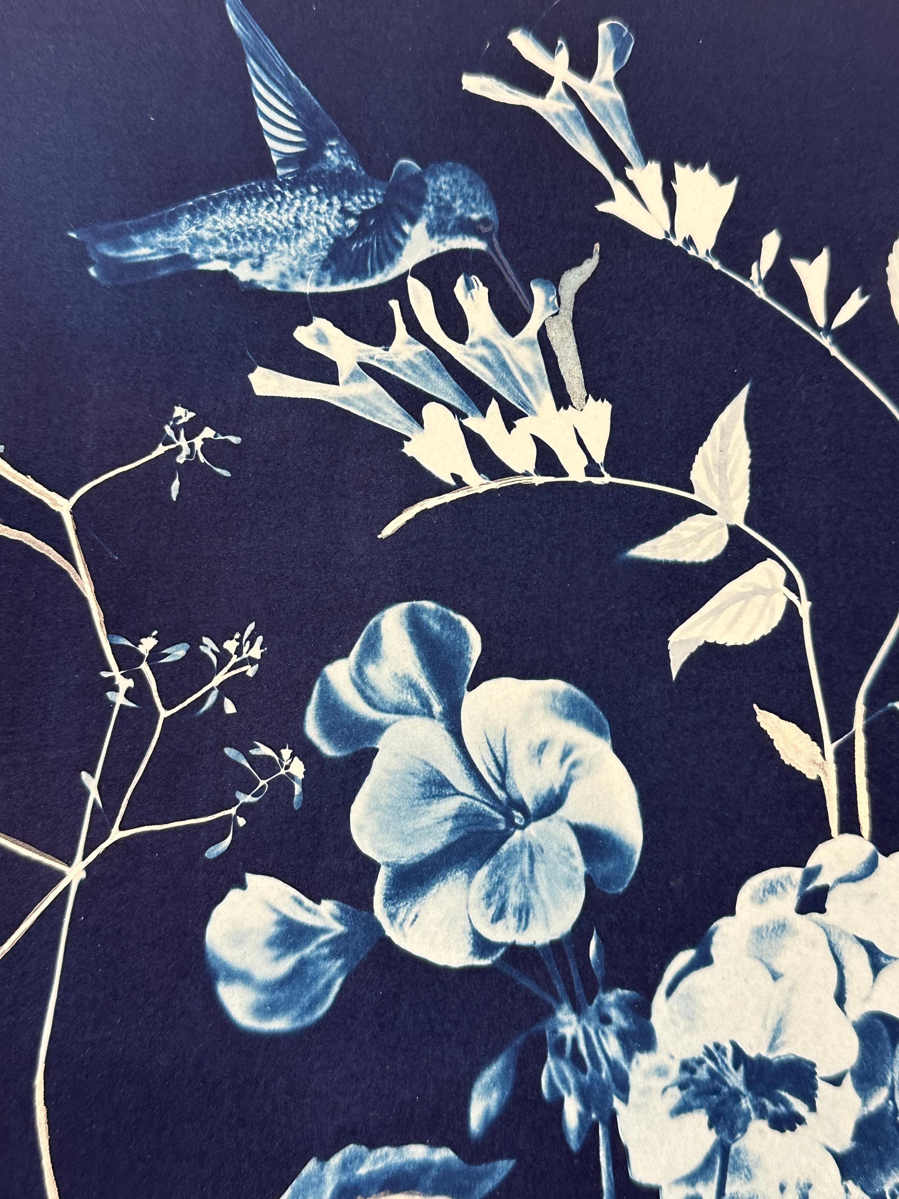 Nocturnal Nature Geraniums - Botanical Cyanotype Painting Flowers Bird, 2021-'22 1
