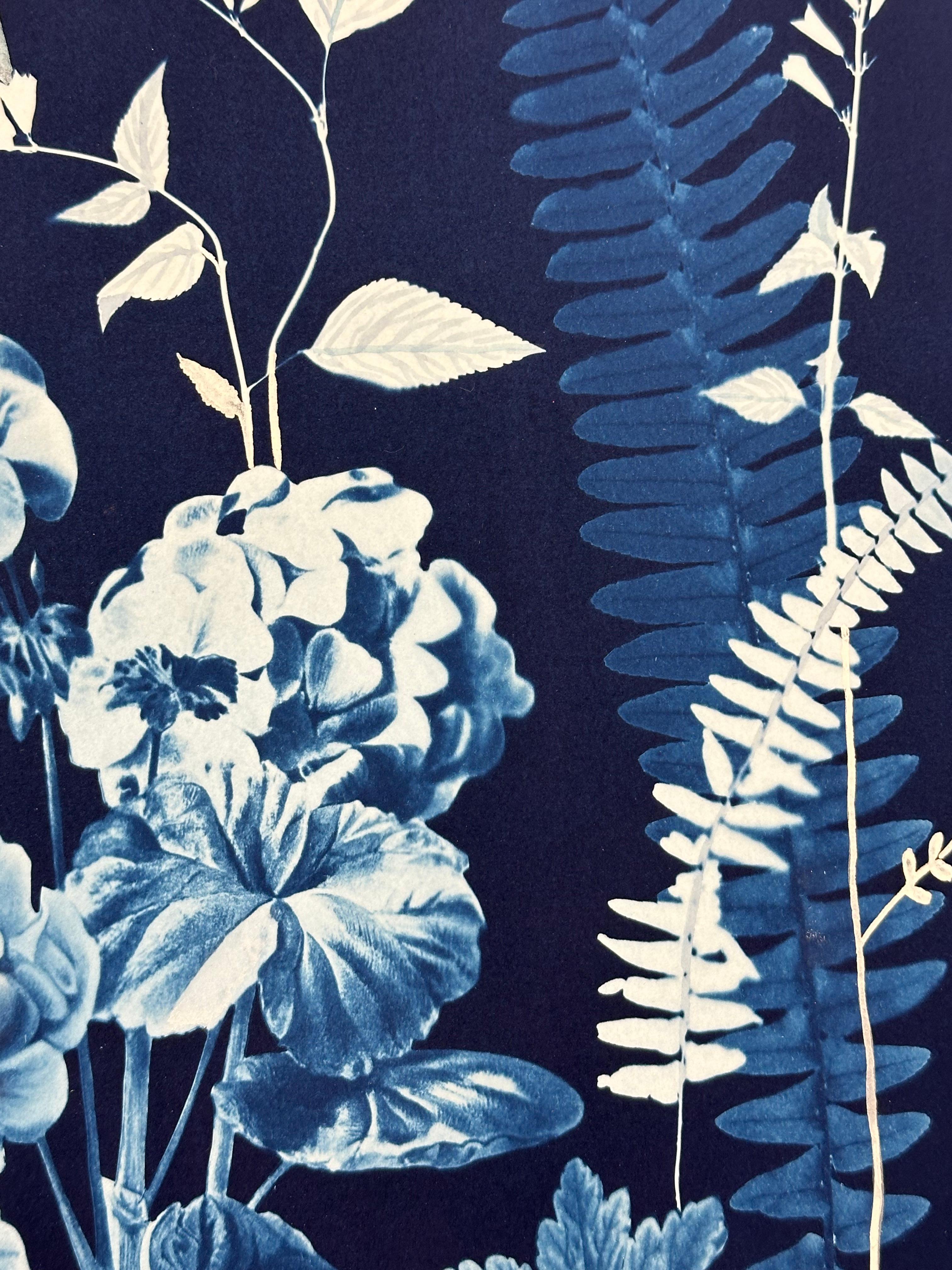 Nocturnal Nature Geraniums - Botanical Cyanotype Painting Flowers Bird, 2021-'22 2