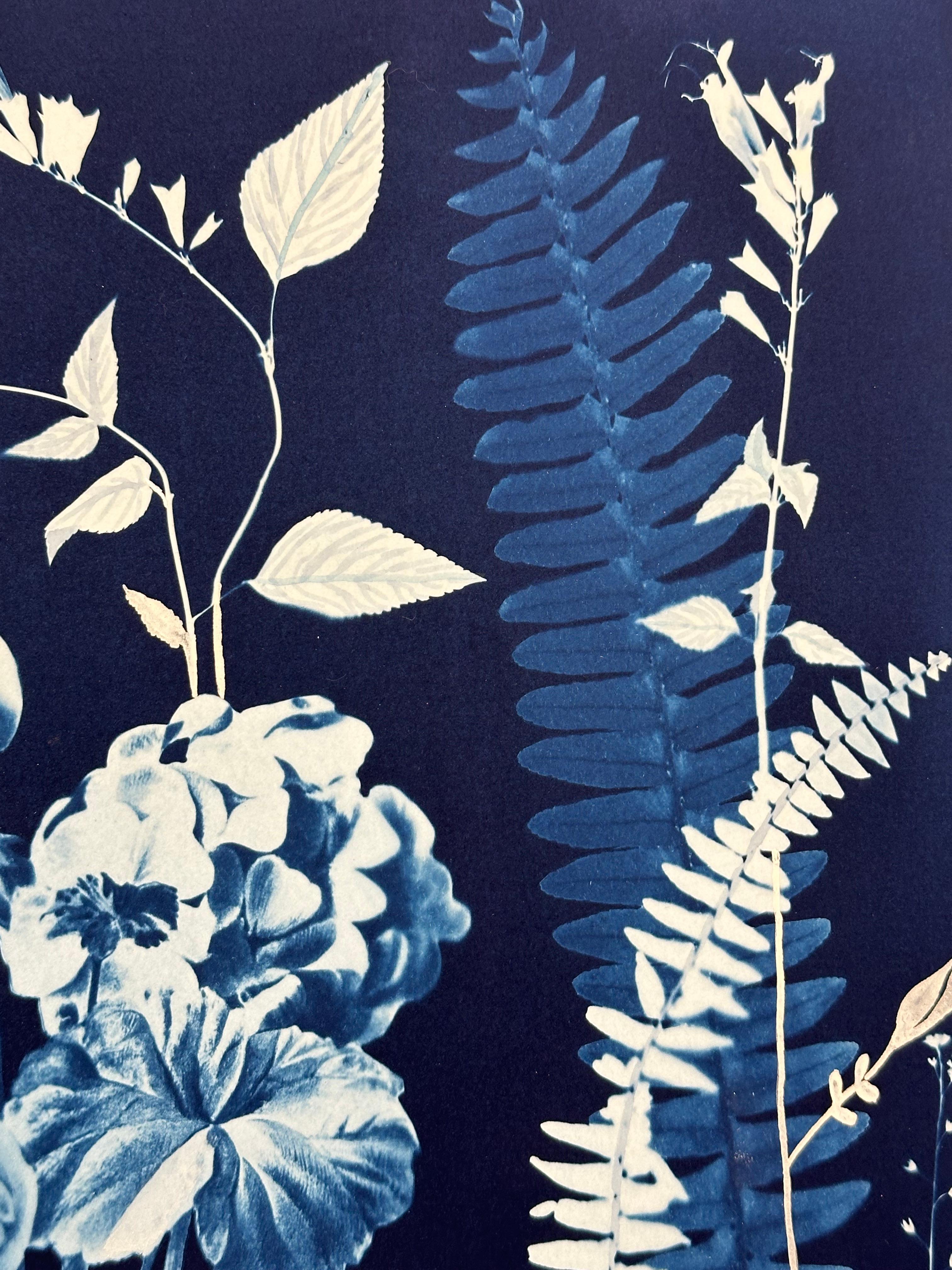 Nocturnal Nature Geraniums - Botanical Cyanotype Painting Flowers Bird, 2021-'22 3