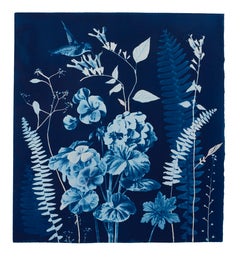 Gerani notturni di Nature - Pittura botanica in cianotipia Fiori Uccelli, 2021-'22