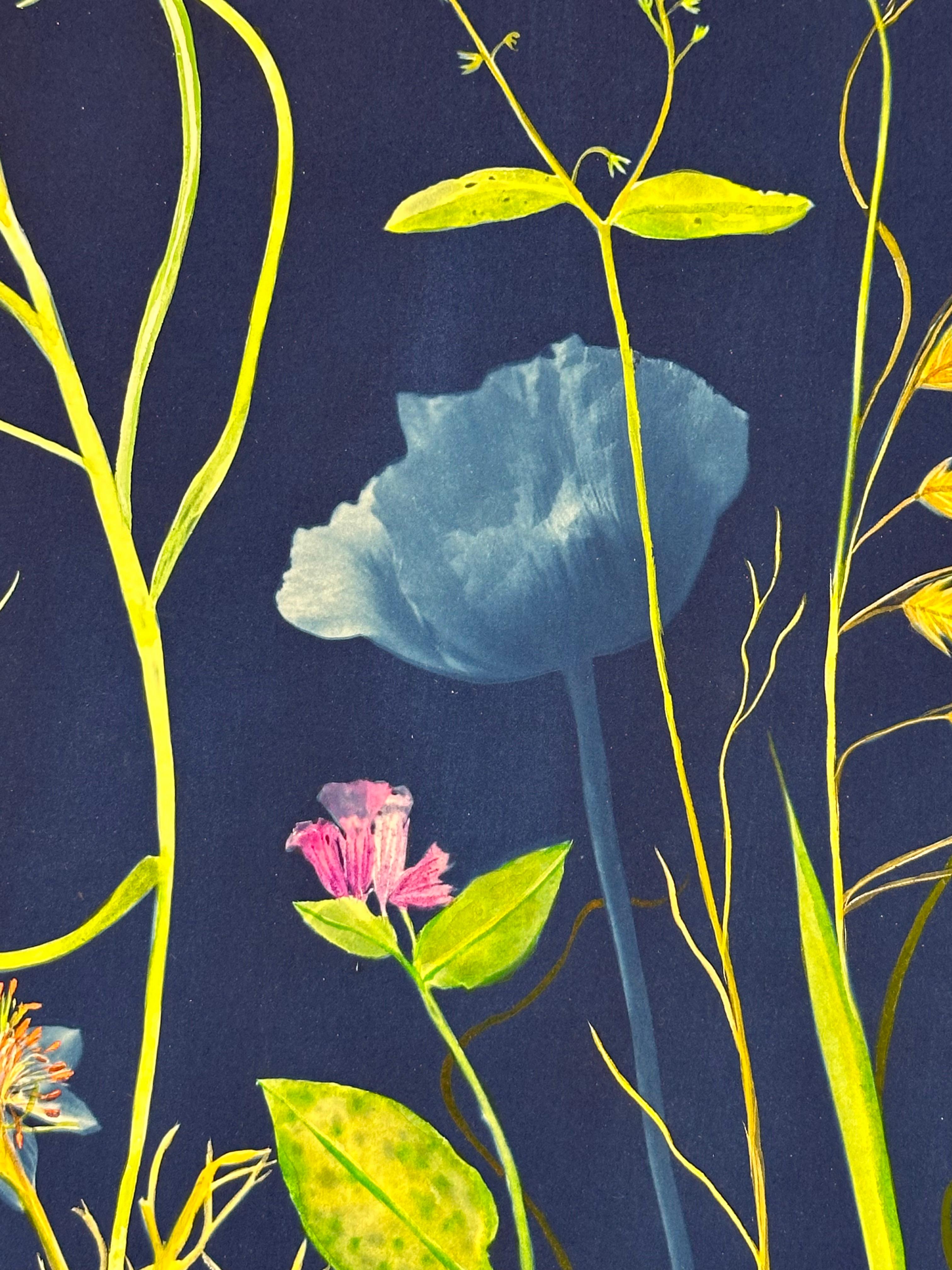 Pintoresco Lirio Botánico - Pintura Cianotipia Flores Azul Añil, 2023 7
