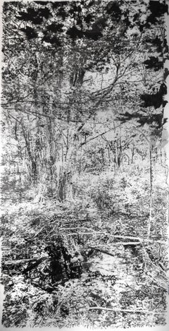 Big Tree - Waldlandschaft Schwarze Sumi-Tinte Weiß Mylar, 2024