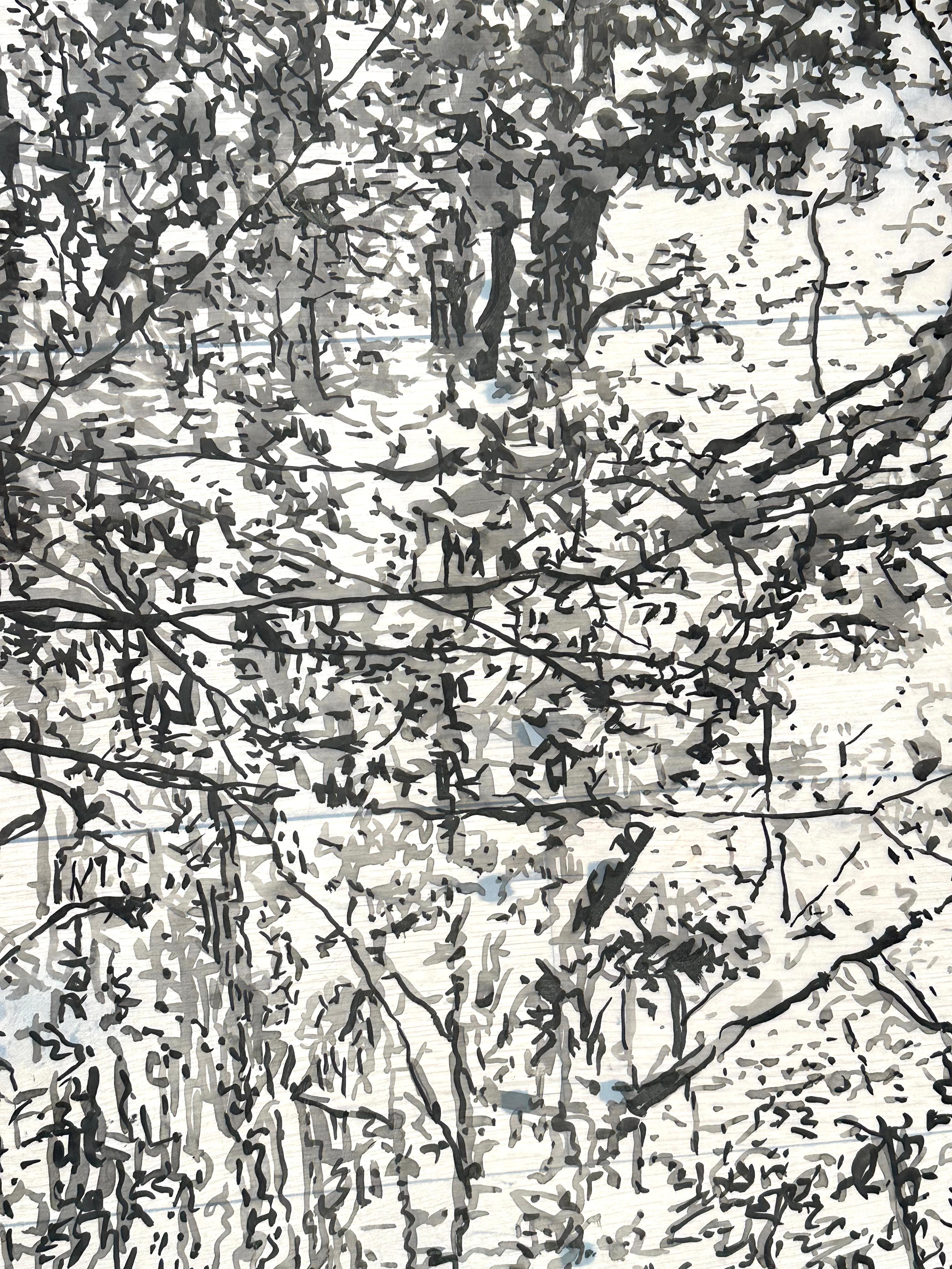 Dieses zeitgenössische Landschaftsbild mit schwarzer Sumi-Tinte auf Mylar zeigt eine friedliche Waldszene mit vielen Details, die die Gelassenheit eines Waldspaziergangs wunderbar einfangen.

Diese Tuschezeichnung auf Mylar muss montiert und