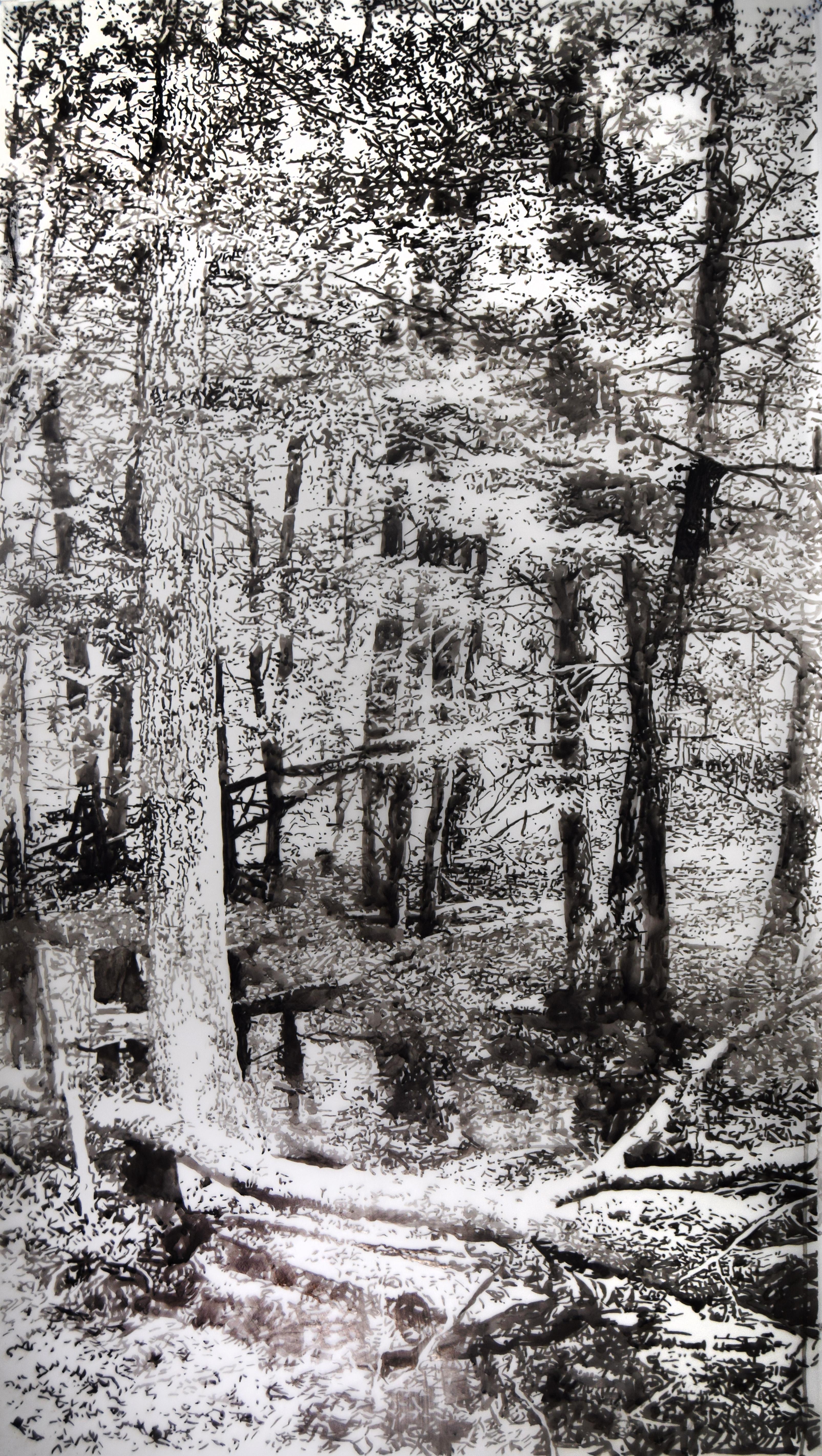 Fallen Logs - Forest Landscape Black Sumi Ink White Mylar, 2024