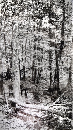 Fallen Logs – Waldlandschaft mit schwarzer Sumi-Tinte und weißem Mylar, 2024