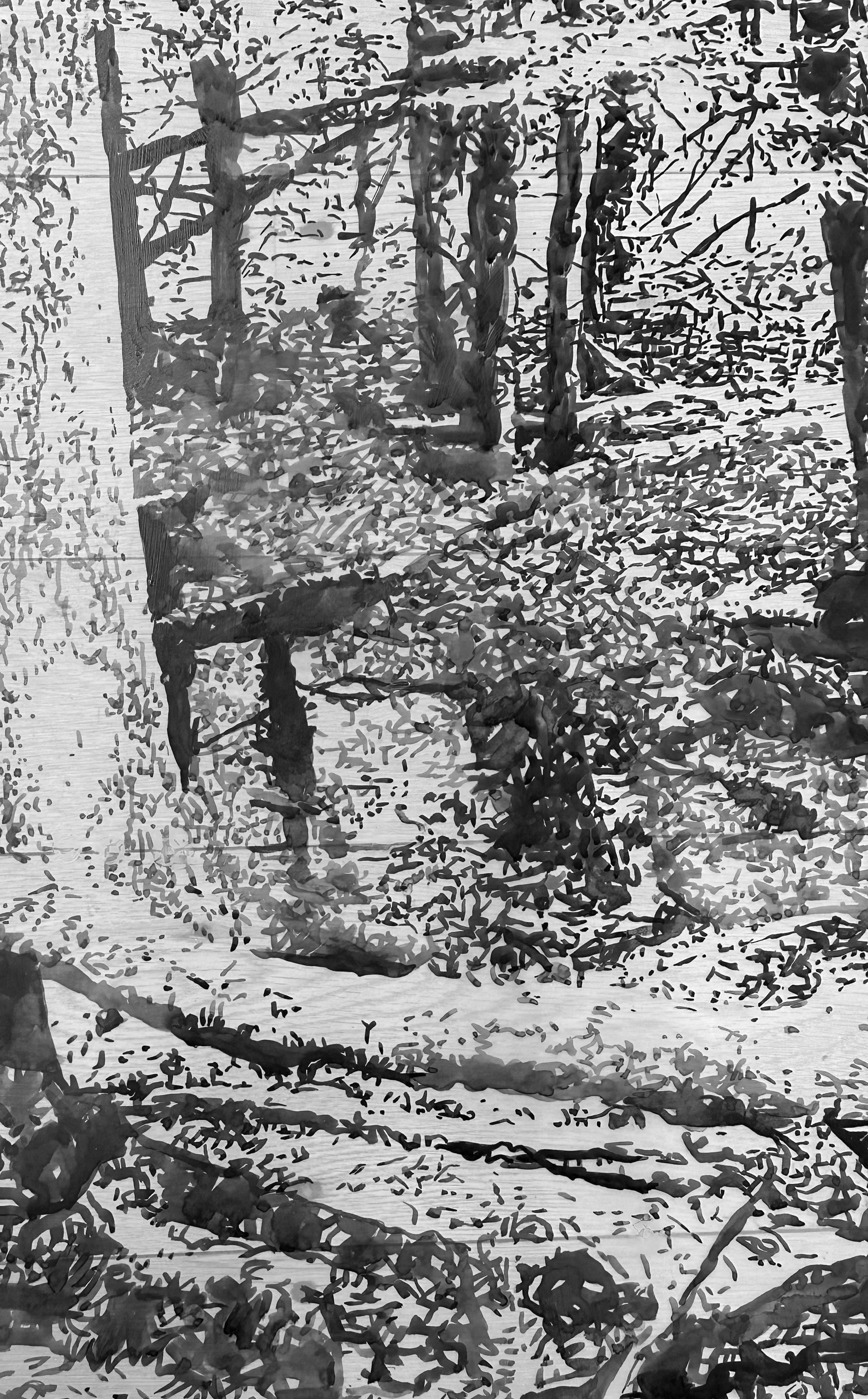 Fallen Logs – Waldlandschaft mit schwarzer Sumi-Tinte und weißem Mylar, 2024 im Angebot 2