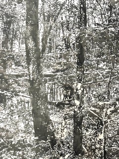 Deux arbres - Paysage de forêt Encre Sumi noire Mylar blanc, 2024