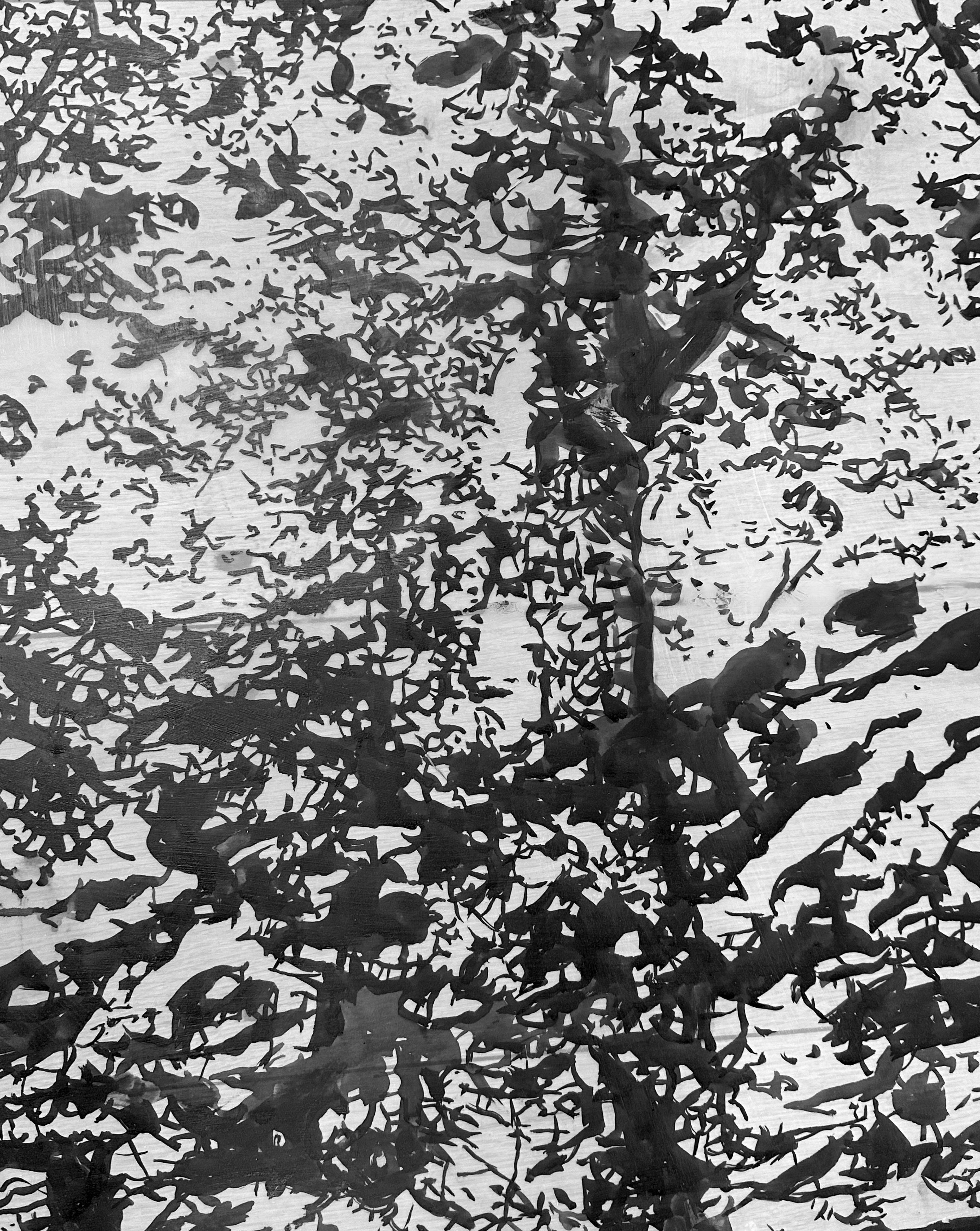 Due alberi - Paesaggio della foresta Black Forest Ink White Mylar, 2024 in vendita 2