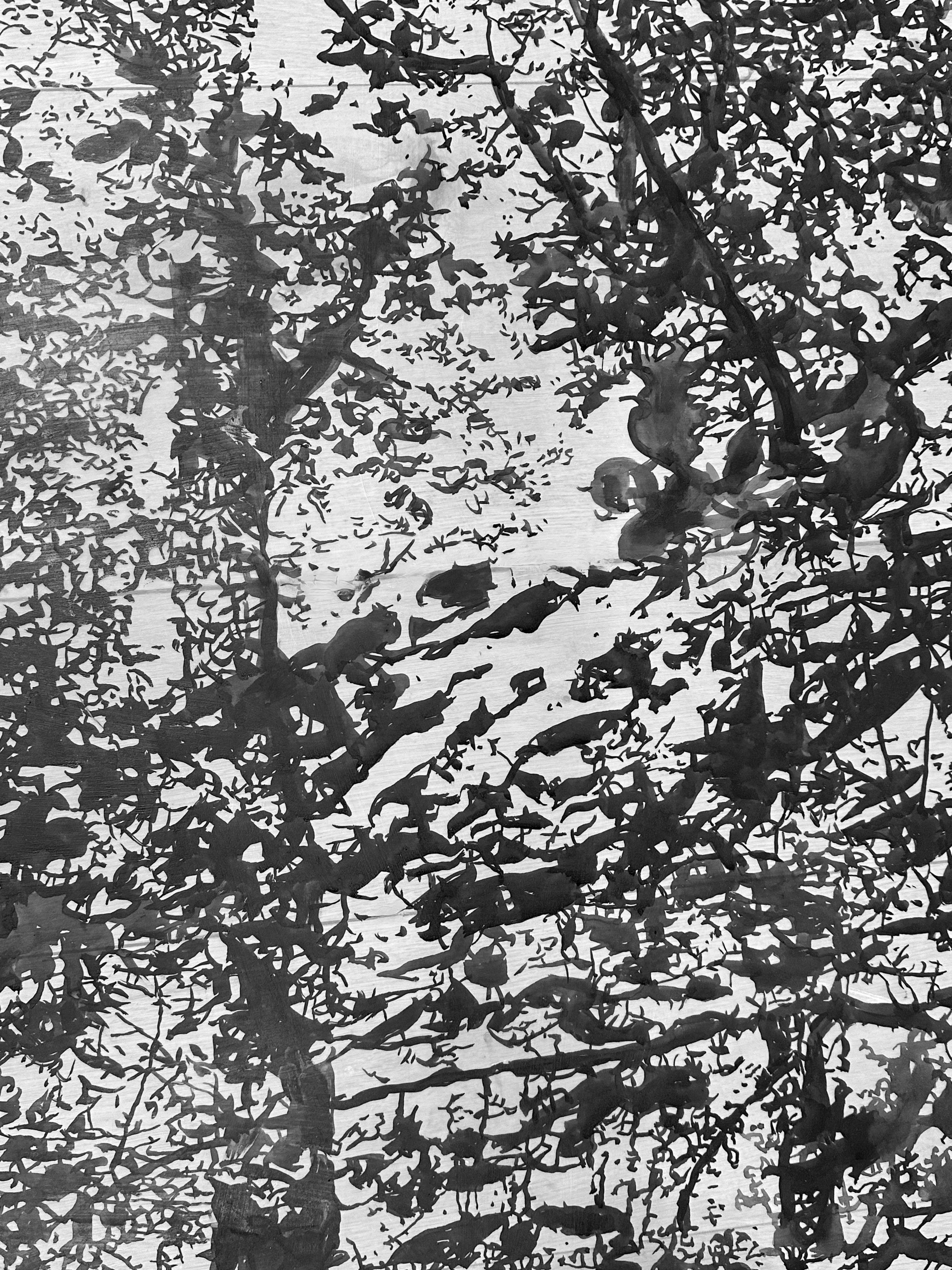 Due alberi - Paesaggio della foresta Black Forest Ink White Mylar, 2024 in vendita 1