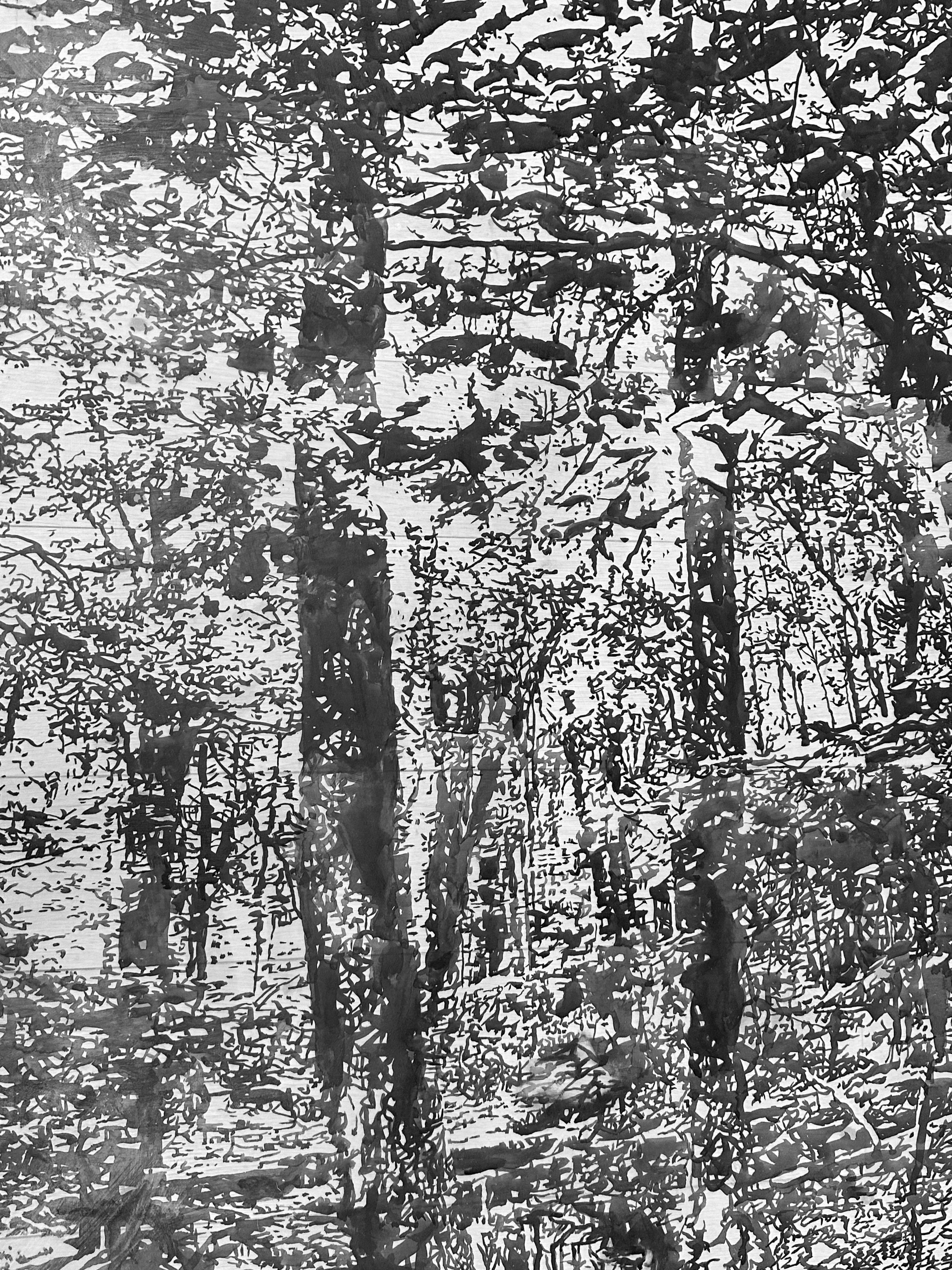 Due alberi - Paesaggio della foresta Black Forest Ink White Mylar, 2024 - Landscape Art Nero di Andrea Kantrowitz