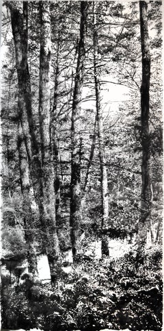 Grands arbres - Paysage forestier Sumi à l'encre blanche Mylar, 2024