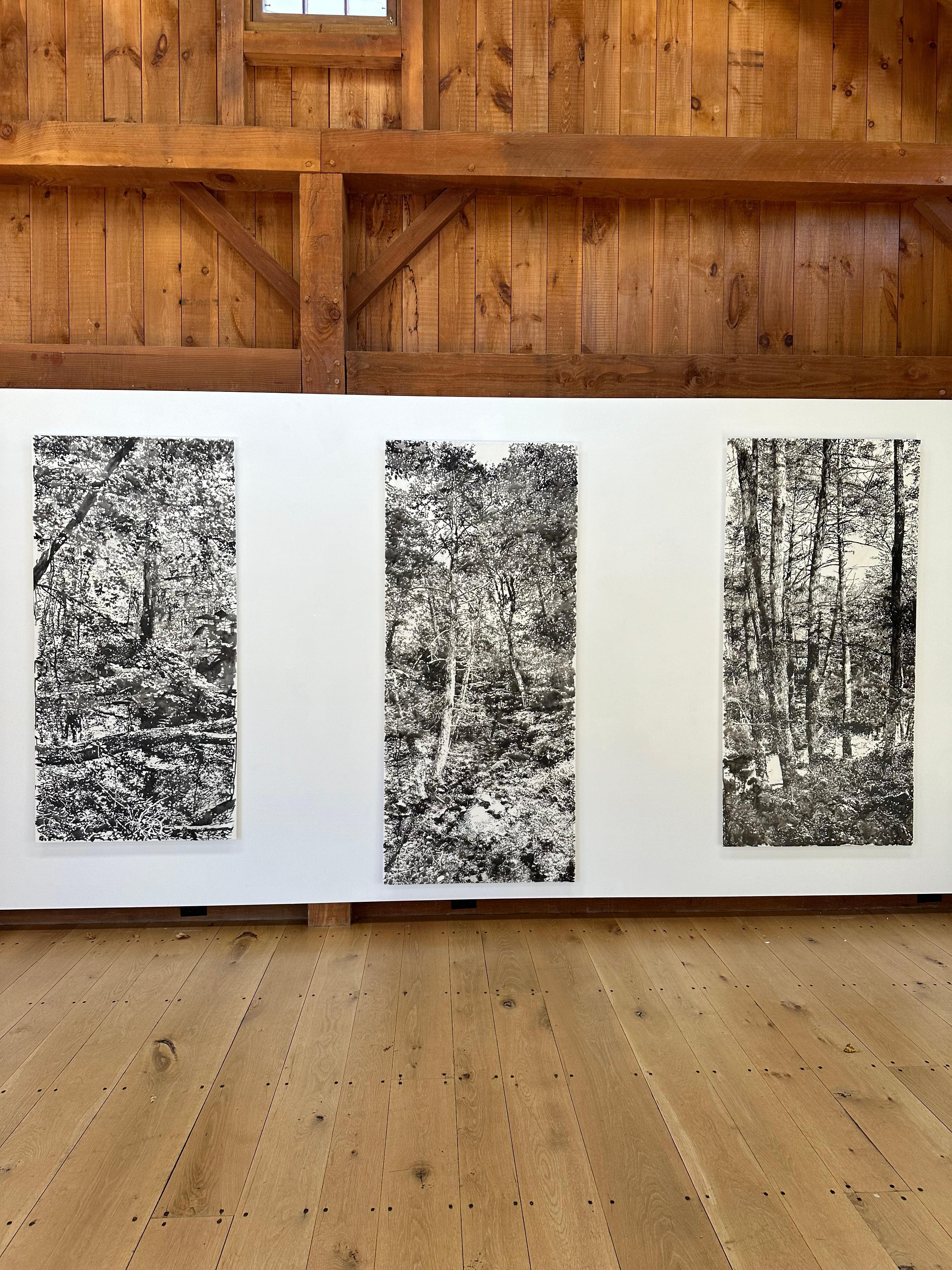 Vernal Pool - Forest Landscape Trees Black Sumi Ink White Mylar, 2024 - Art by Andrea Kantrowitz