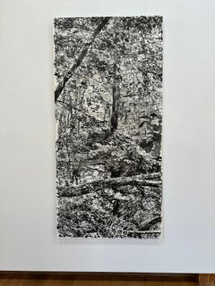 Encre sumi noire « Vernal Pool - Forest Landscape Trees », 2024