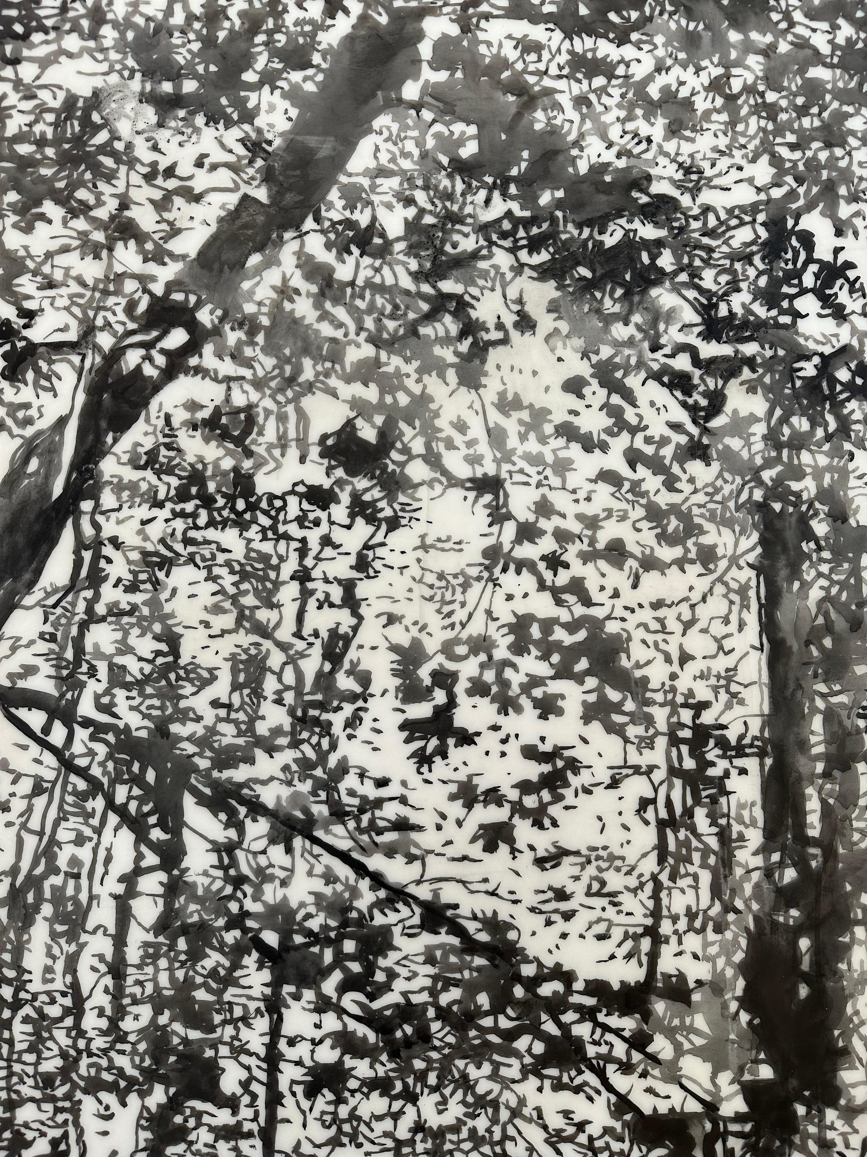 In this contemporary landscape in black sumi ink on Mylar, a peaceful forest scene is intricately detailed, beautifully capturing the serenity of a walk in the woods.

This ink drawing on Mylar is mounted on a floating white acrylic panel to