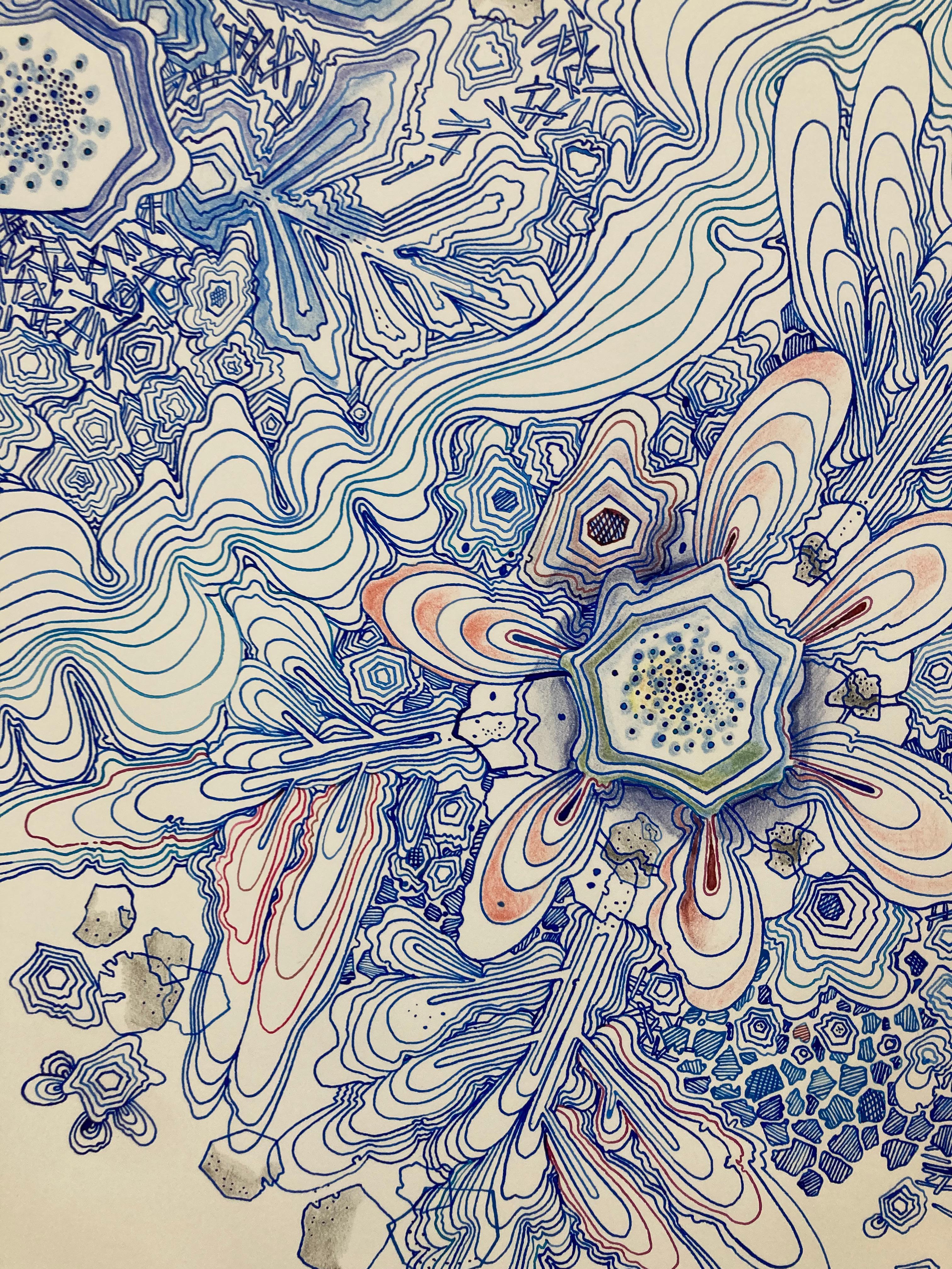 In carefully drawn dots and lines in soft shades of indigo blue with pink, green, yellow and dark red details, this intricate composition is inspired by patterns in nature. This drawing in ink, graphite and colored pencil on paper is full and