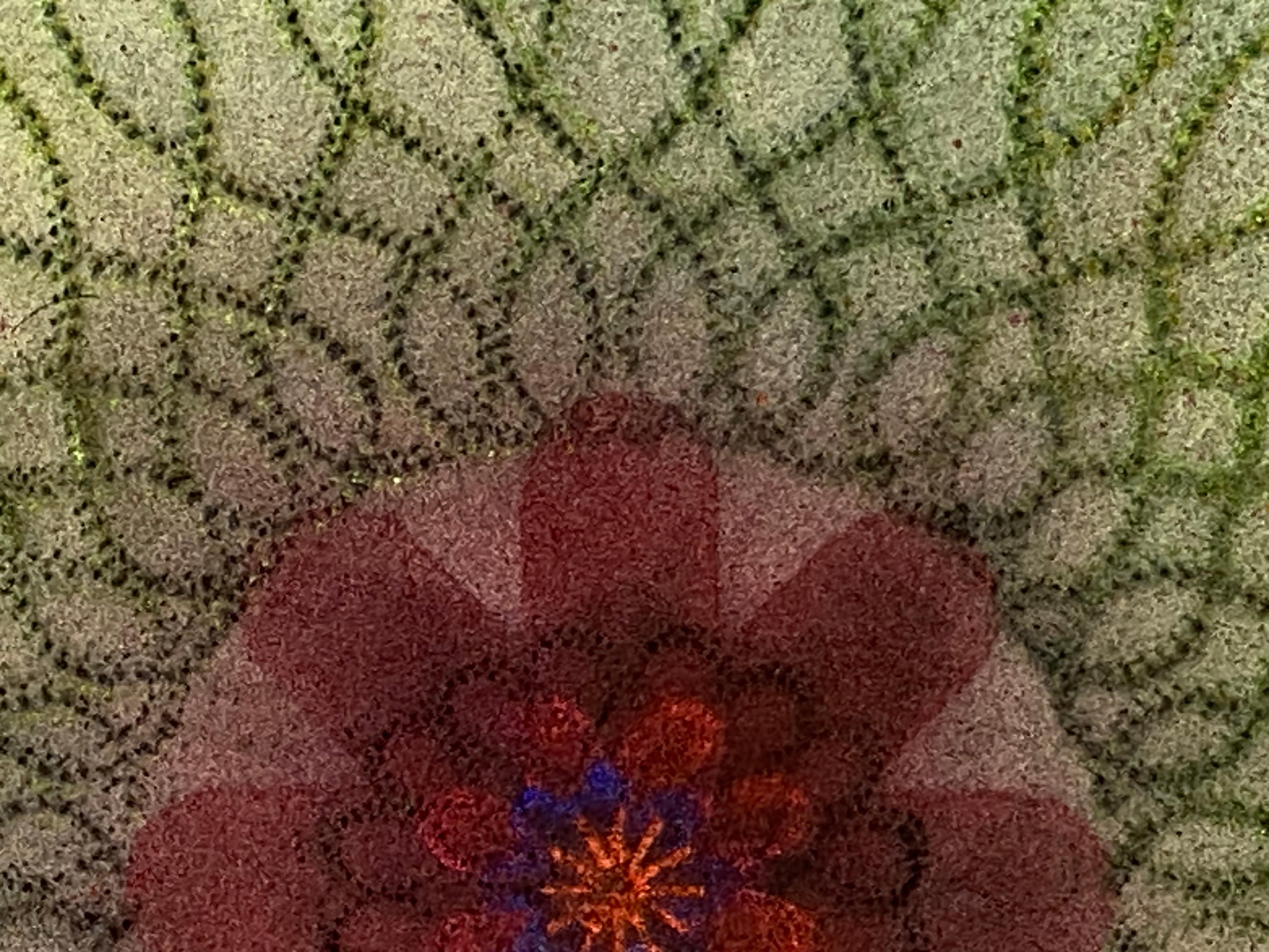 Primavera Pop 31 – Geometrische Mandala-Blumen Mandala in Blau, Rosa, Grün, Grün und Rot mit roten Linien, 2022 im Angebot 4