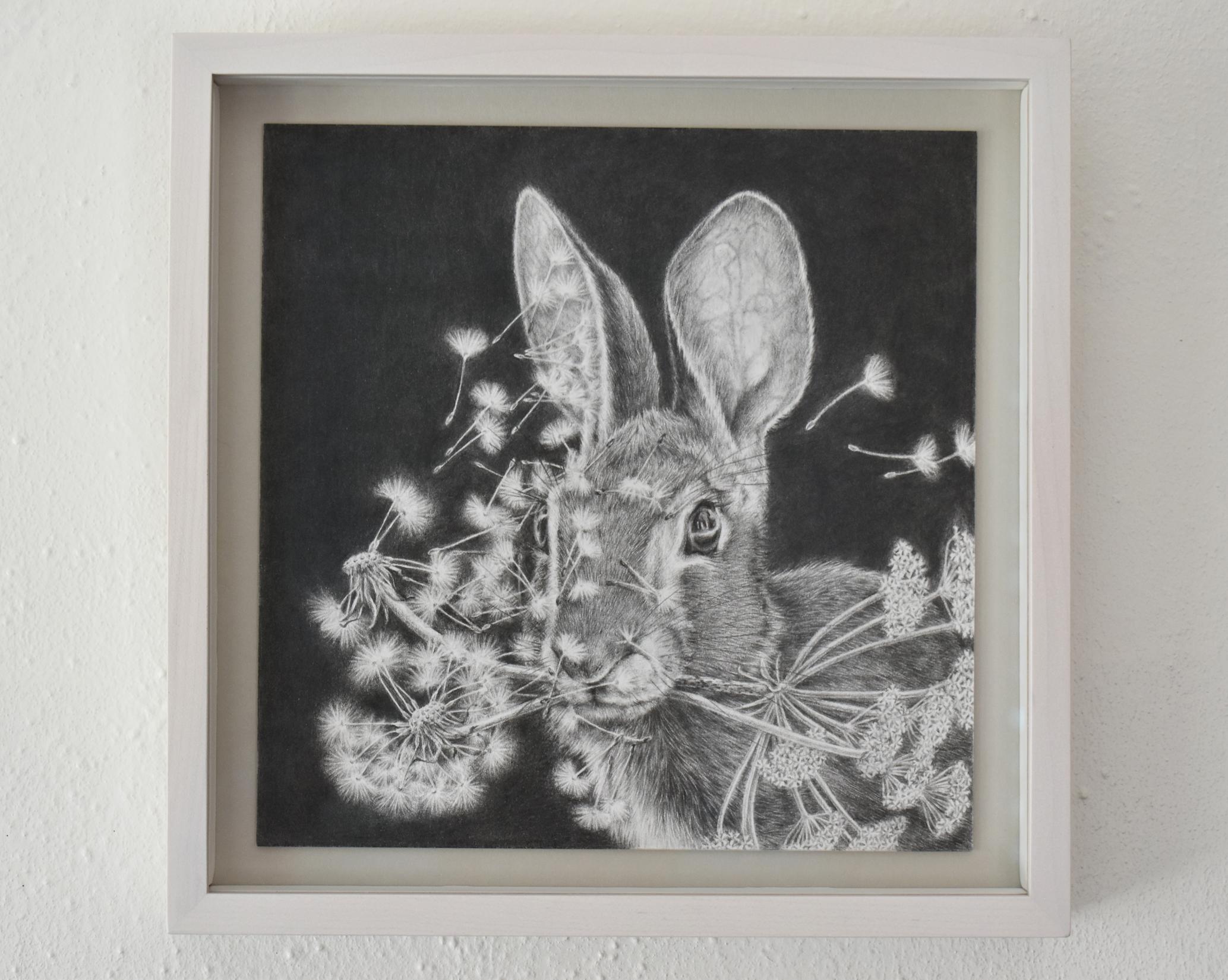 Moltiplica e dividi - Dandelions Gray White Rabbit su disegno nero, 2023 - Art Contemporaneo di Francine Fox