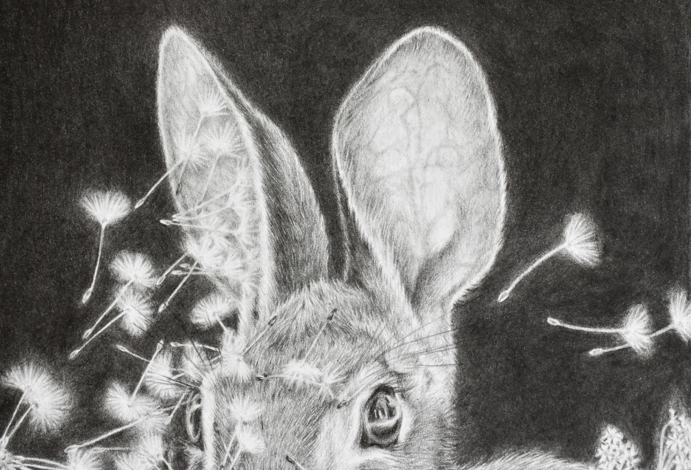 Moltiplica e dividi - Dandelions Gray White Rabbit su disegno nero, 2023 in vendita 1