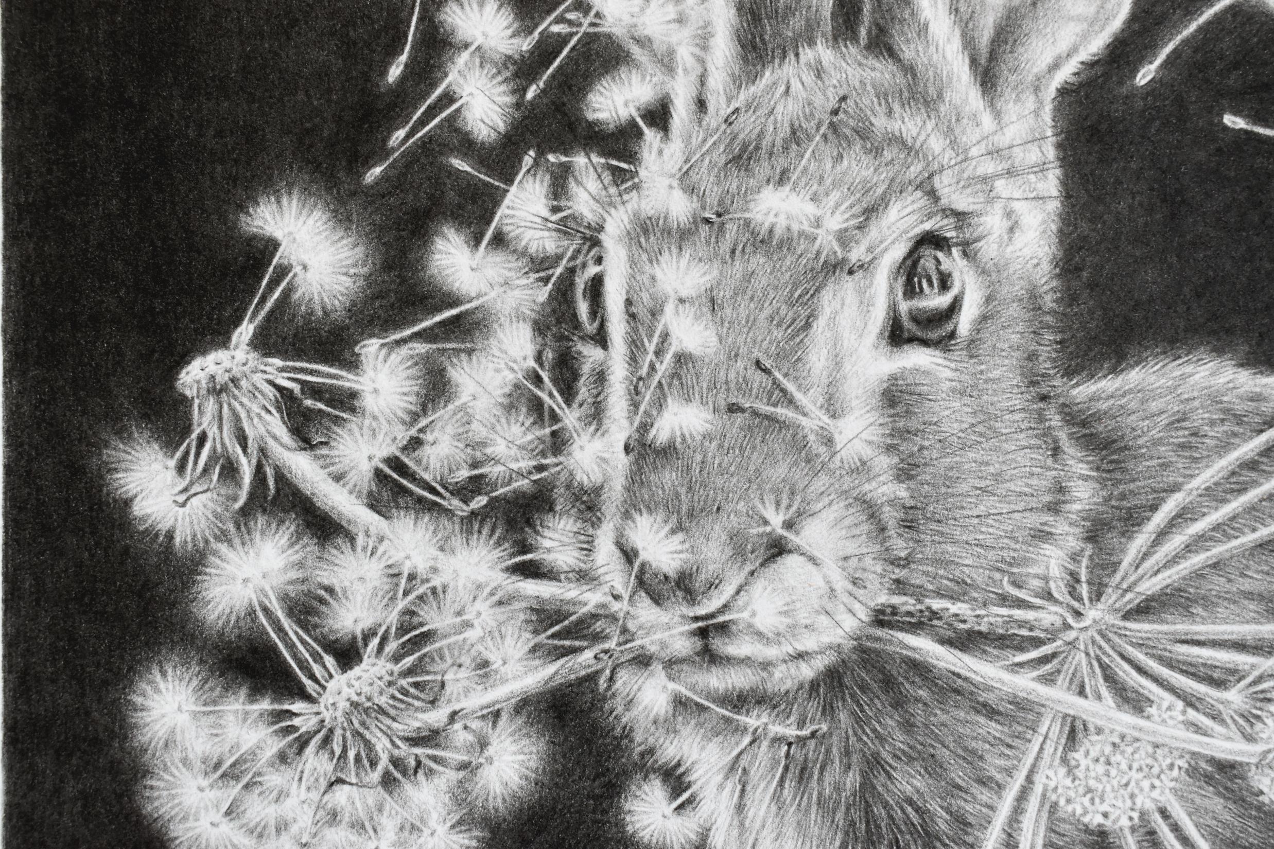 Moltiplica e dividi - Dandelions Gray White Rabbit su disegno nero, 2023 in vendita 2