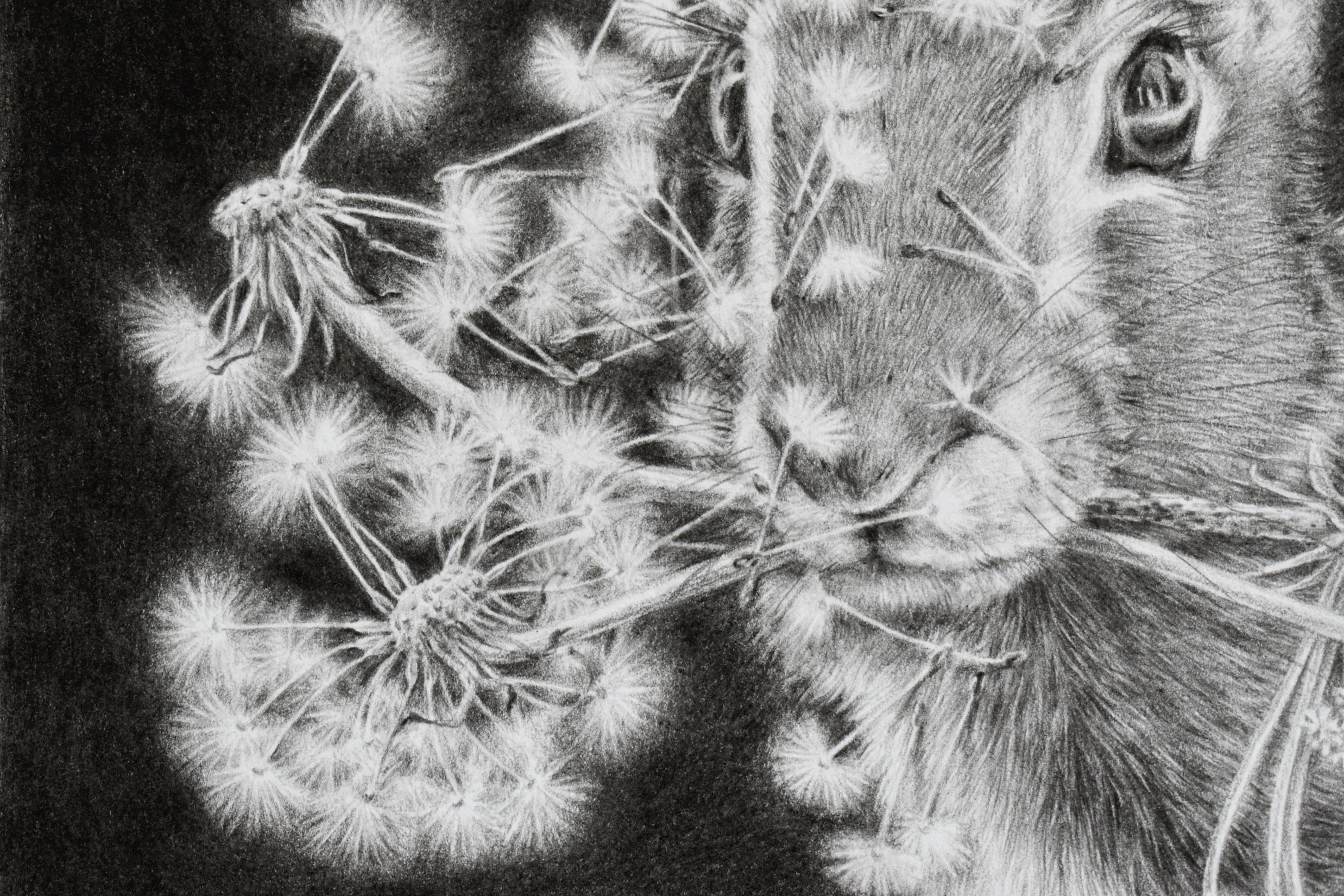 Moltiplica e dividi - Dandelions Gray White Rabbit su disegno nero, 2023 in vendita 5
