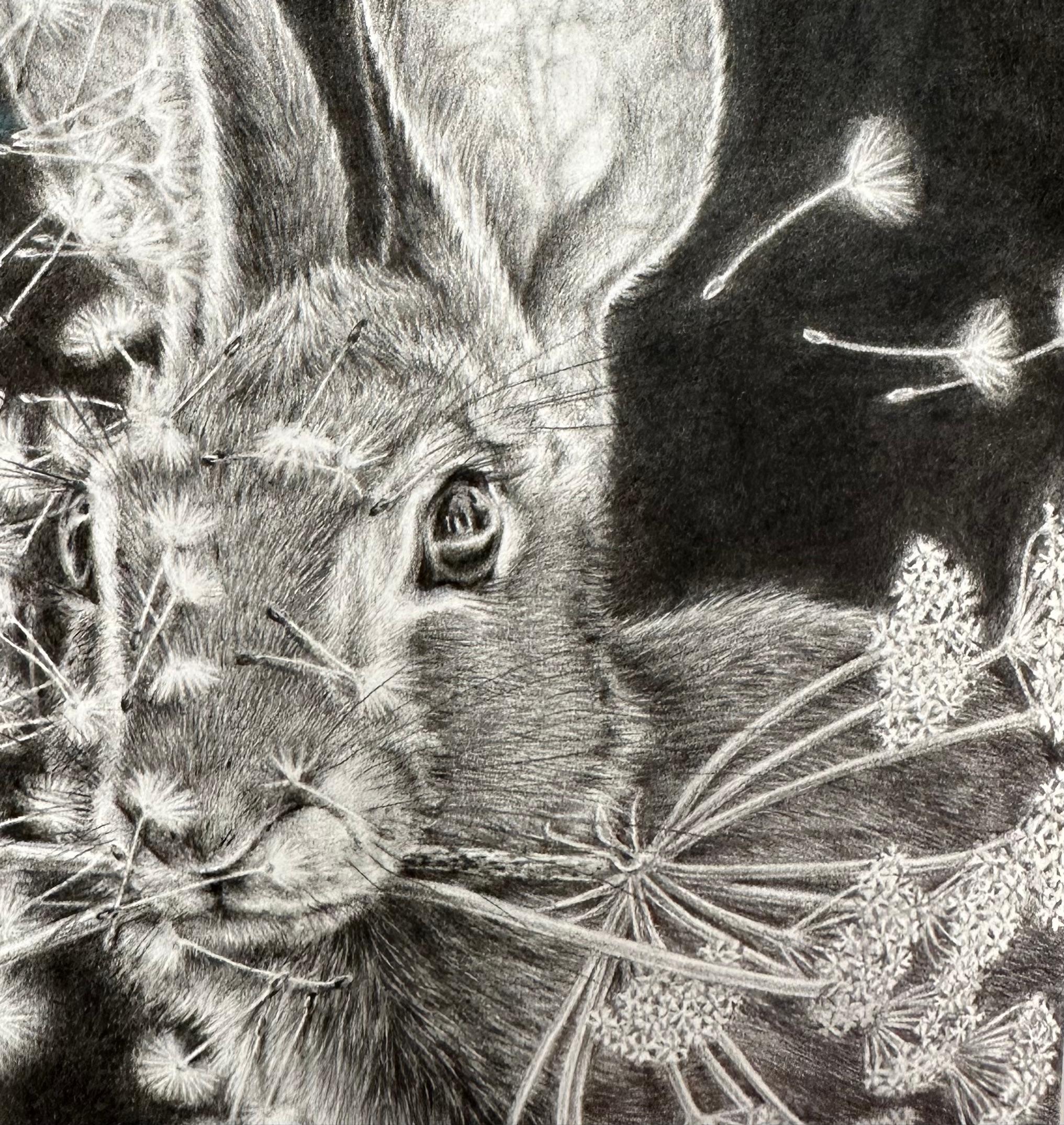 Moltiplica e dividi - Dandelions Gray White Rabbit su disegno nero, 2023 in vendita 9