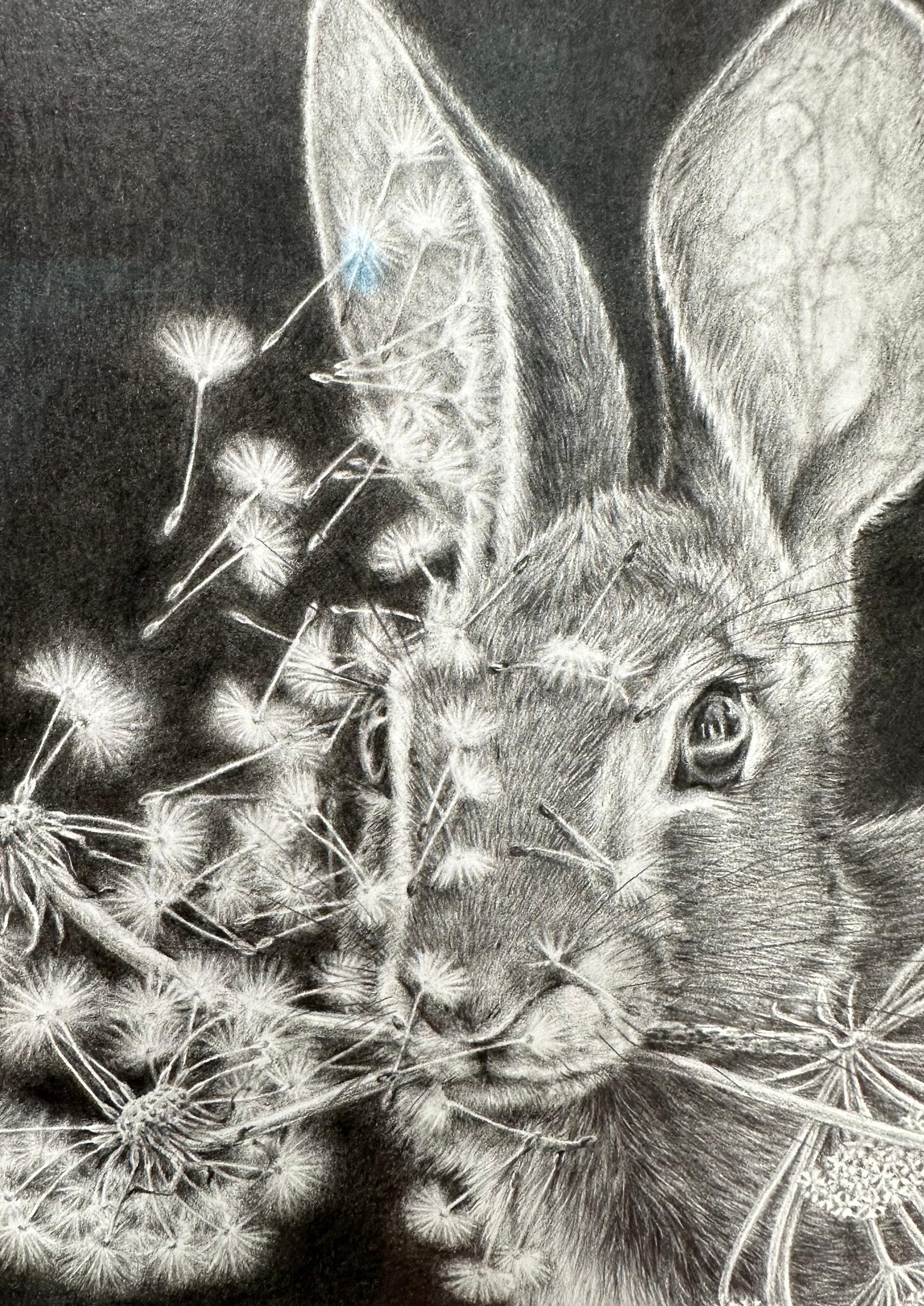 Moltiplica e dividi - Dandelions Gray White Rabbit su disegno nero, 2023 in vendita 10