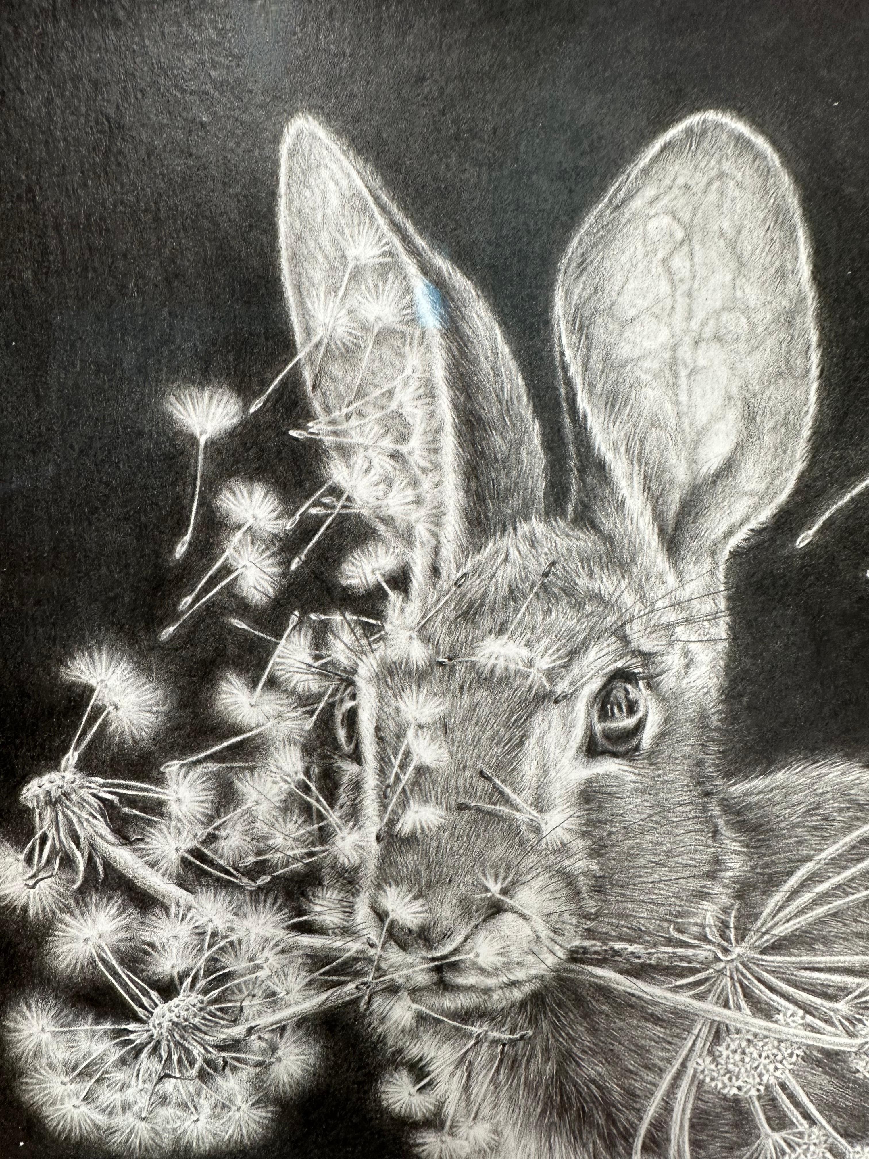 Moltiplica e dividi - Dandelions Gray White Rabbit su disegno nero, 2023 in vendita 11