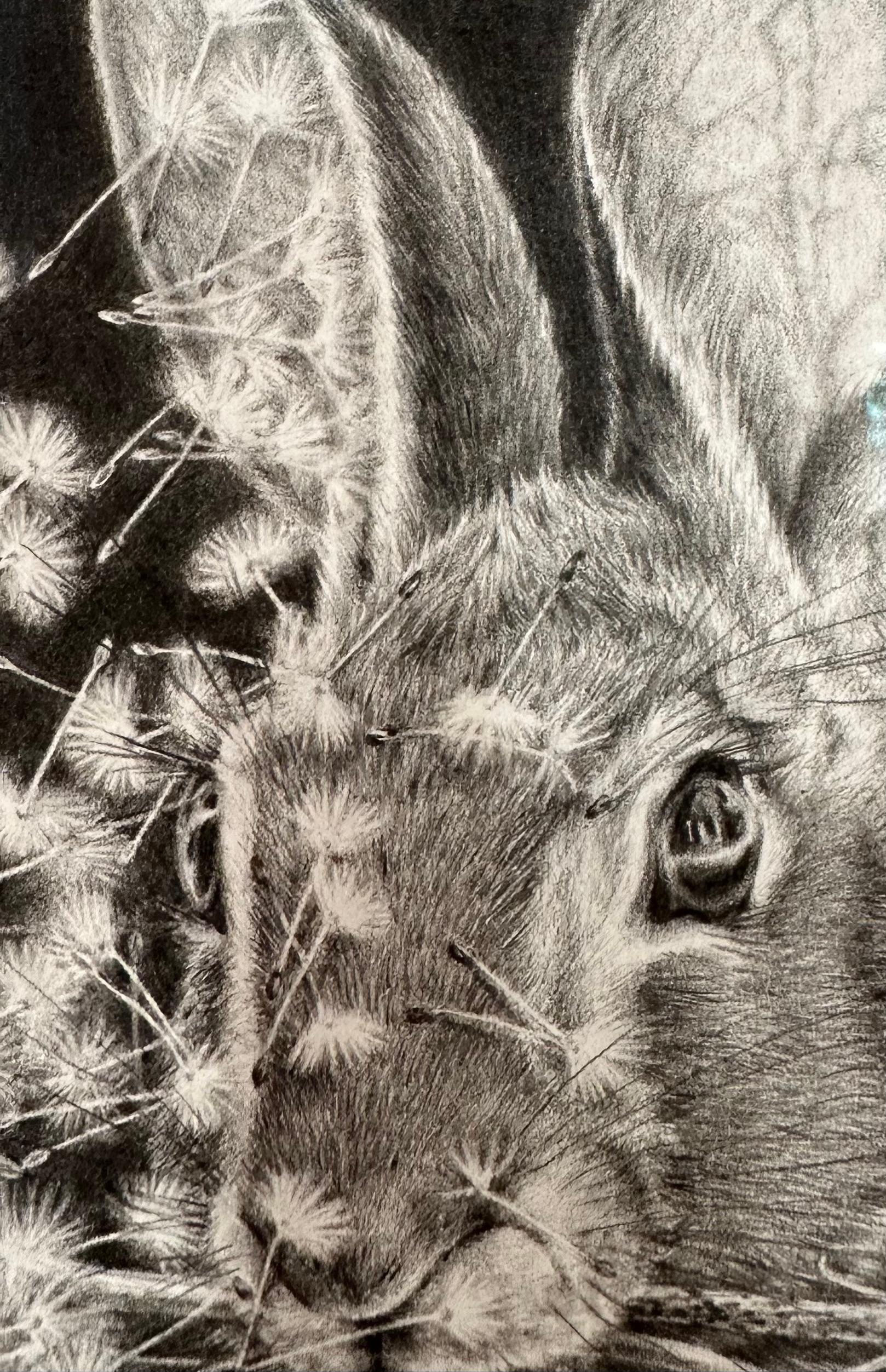 Moltiplica e dividi - Dandelions Gray White Rabbit su disegno nero, 2023 in vendita 12