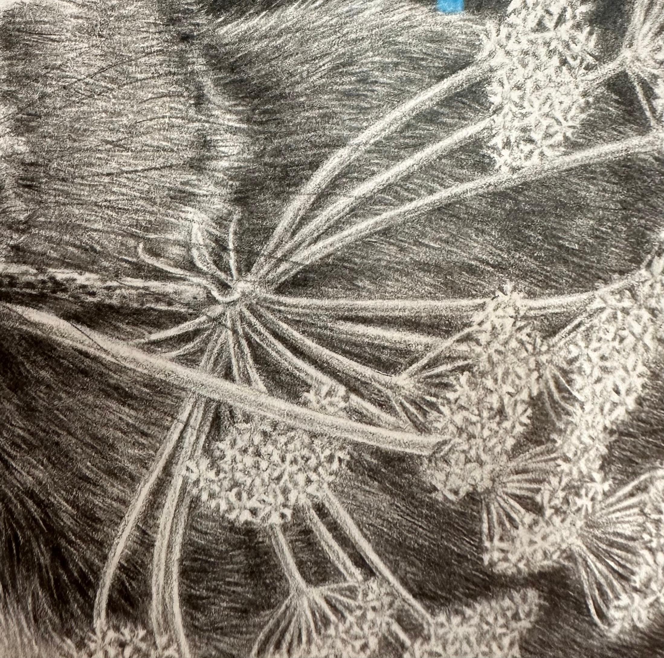 Moltiplica e dividi - Dandelions Gray White Rabbit su disegno nero, 2023 in vendita 13