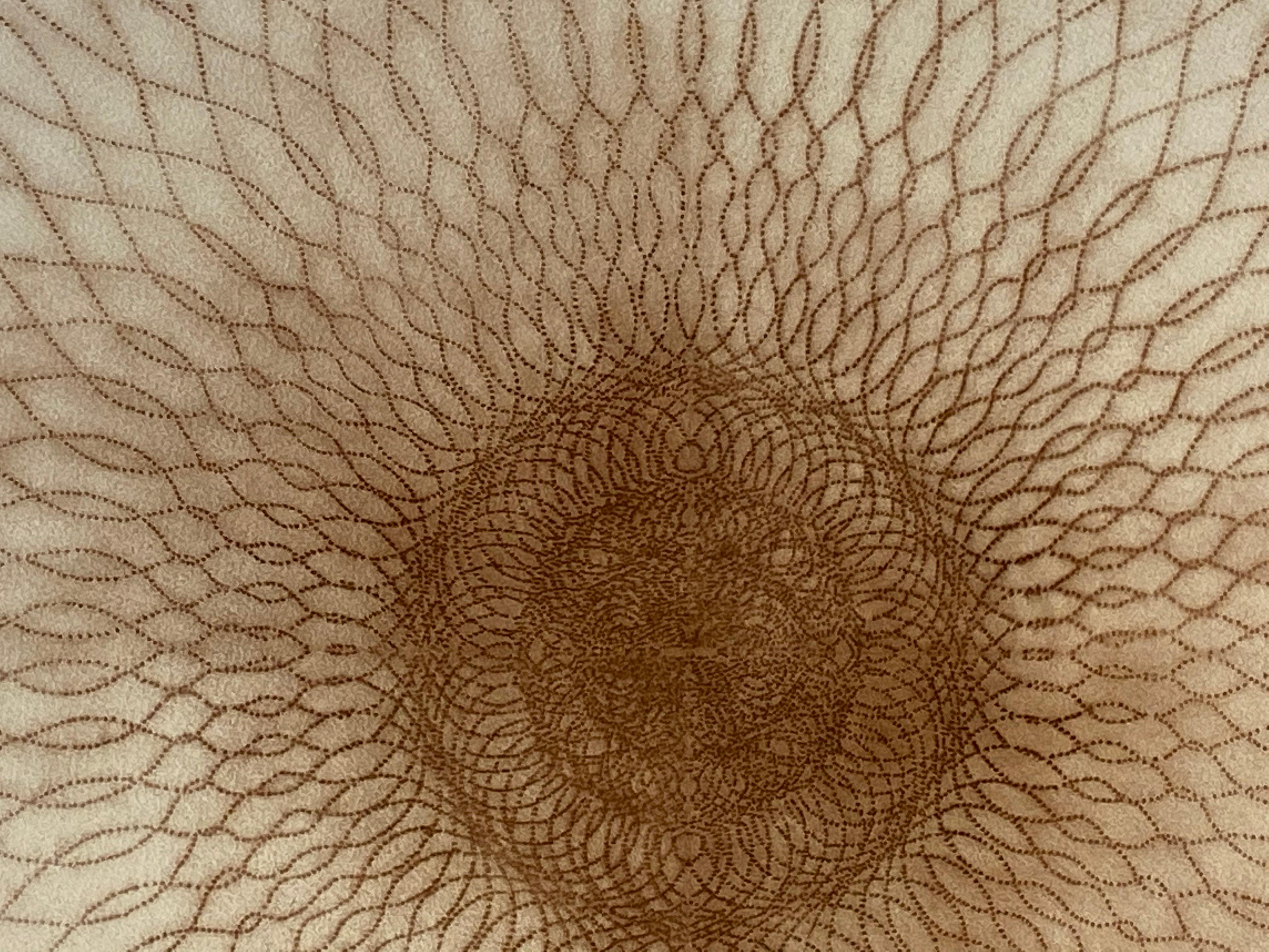 Exotic Hex Series 112 - Reddish Brown Circle Mandala Line Pigment Drawing, 2007 For Sale 2