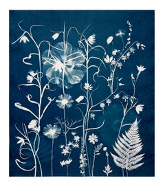Nocturnal Nature Fritillarias, Bleeding Hearts – Botanical Cyanotype, 2021-'23
