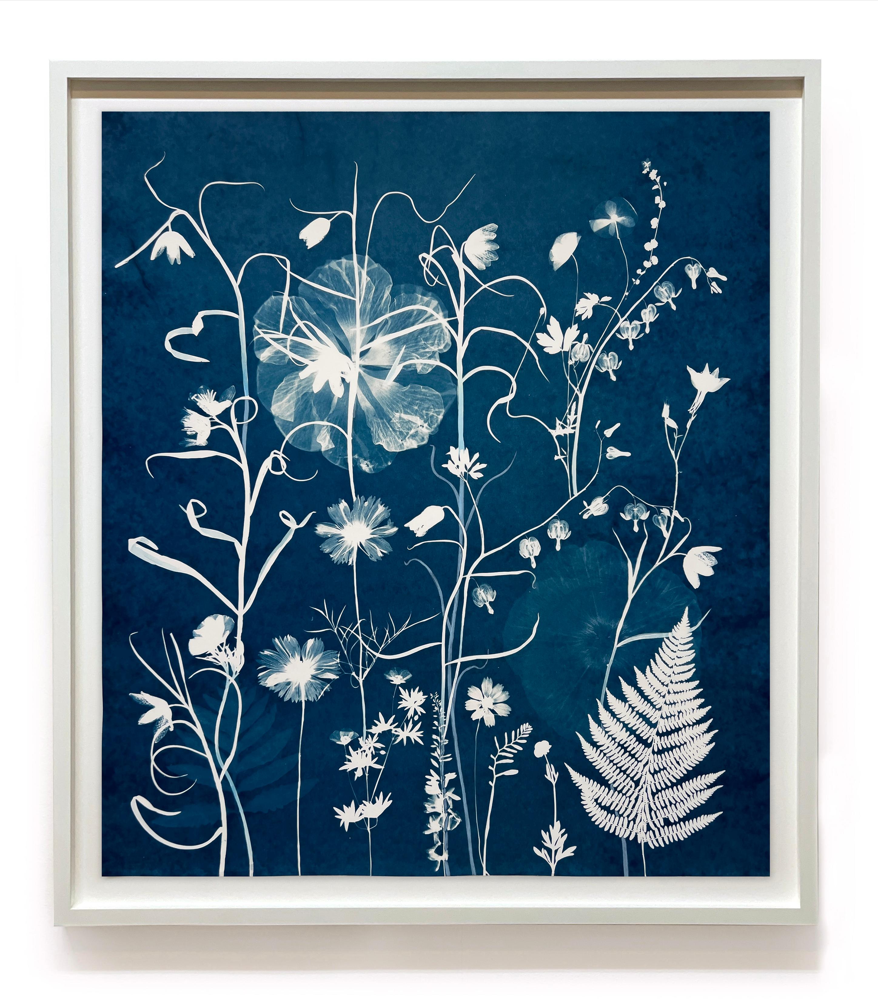 Fritillaires de la nature nocturne, cœurs saignants - Cyanotype botanique, 2021-'23 - Contemporain Art par Julia Whitney Barnes