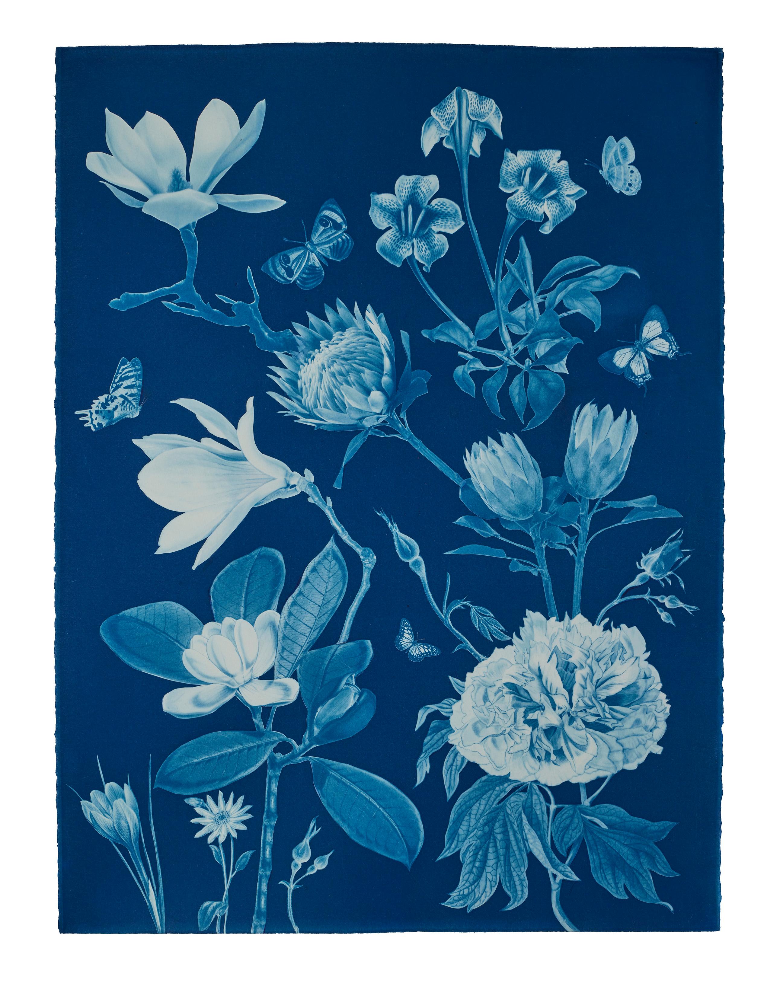Nocturnal Nature Magnolia - Farfalla cianotipica floreale contemporanea, 2021-'22