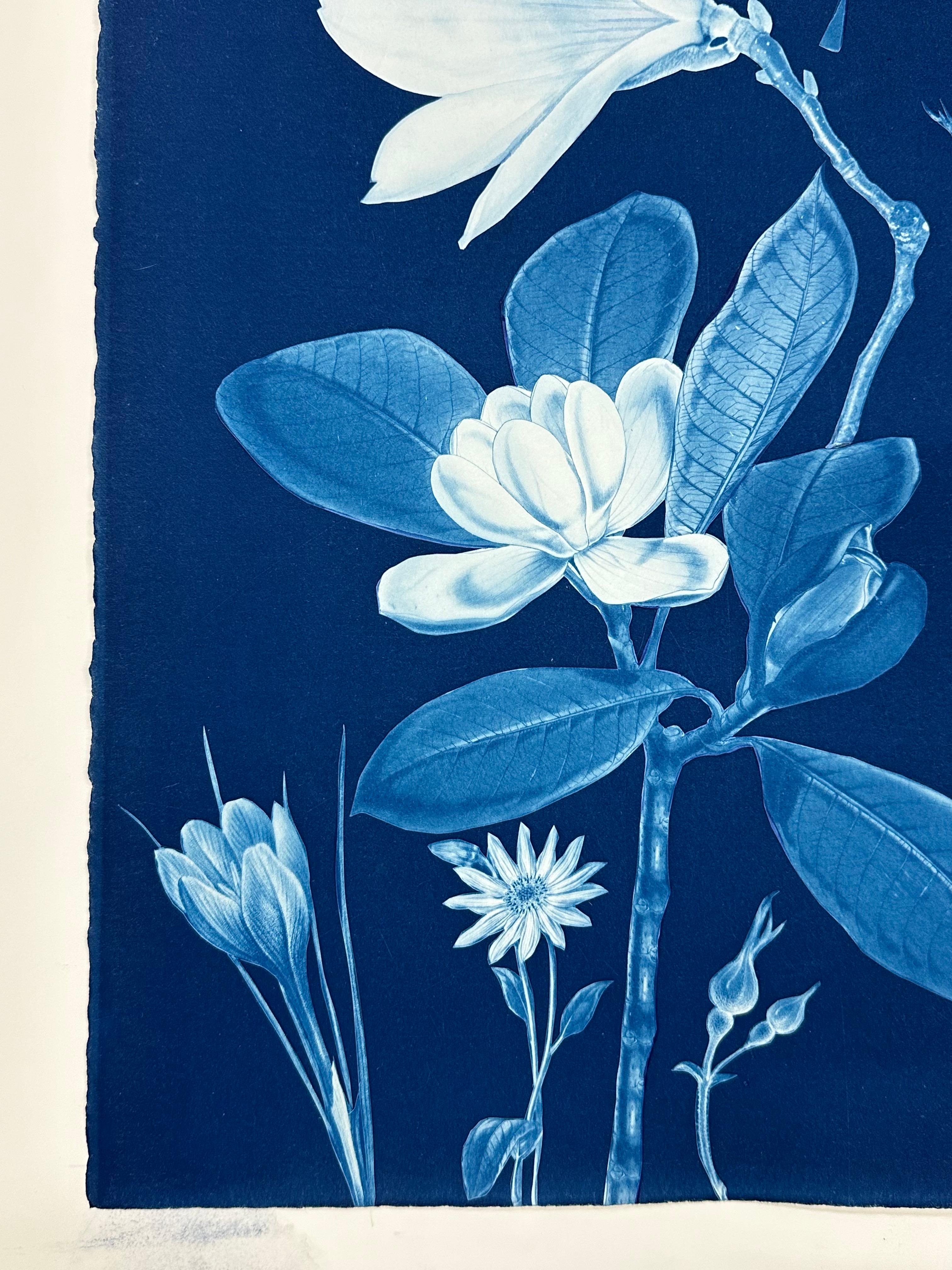 Nocturnal Nature Magnolia - Farfalla cianotipica floreale contemporanea, 2021-'22 - Art Contemporaneo di Julia Whitney Barnes