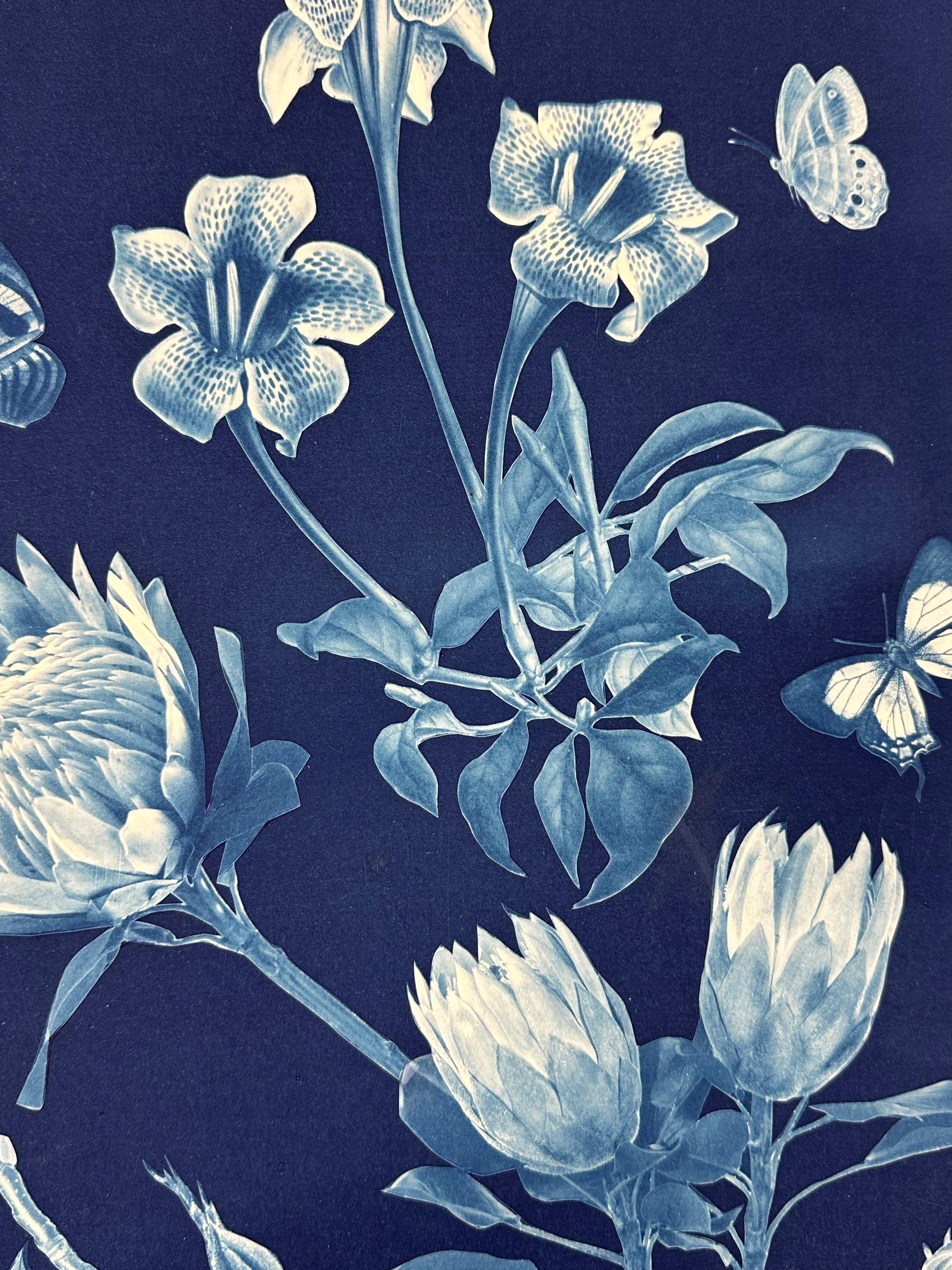 Nocturnal Nature Magnolia - Farfalla cianotipica floreale contemporanea, 2021-'22 in vendita 2