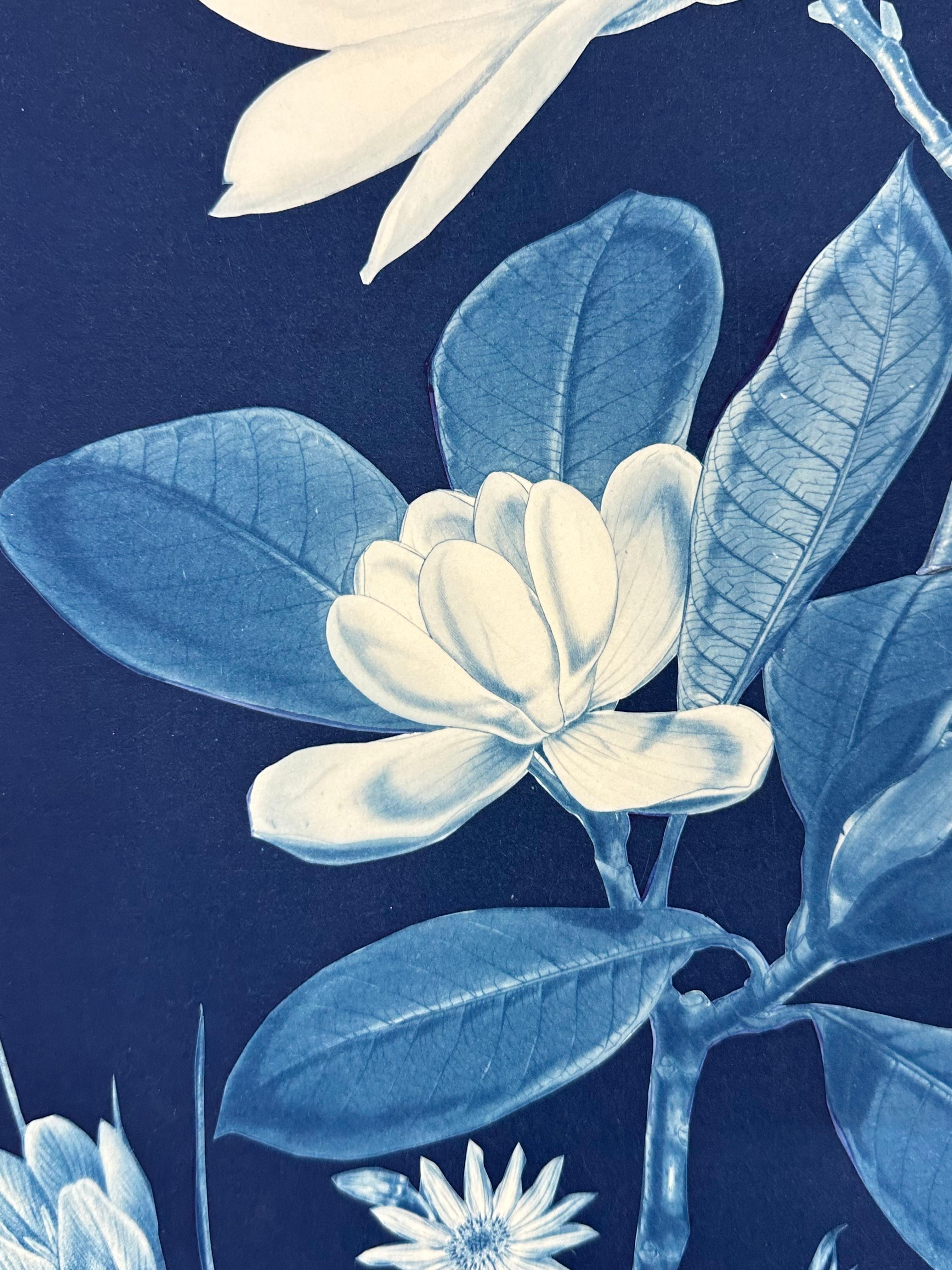 Nocturnal Nature Magnolia - Farfalla cianotipica floreale contemporanea, 2021-'22 in vendita 4