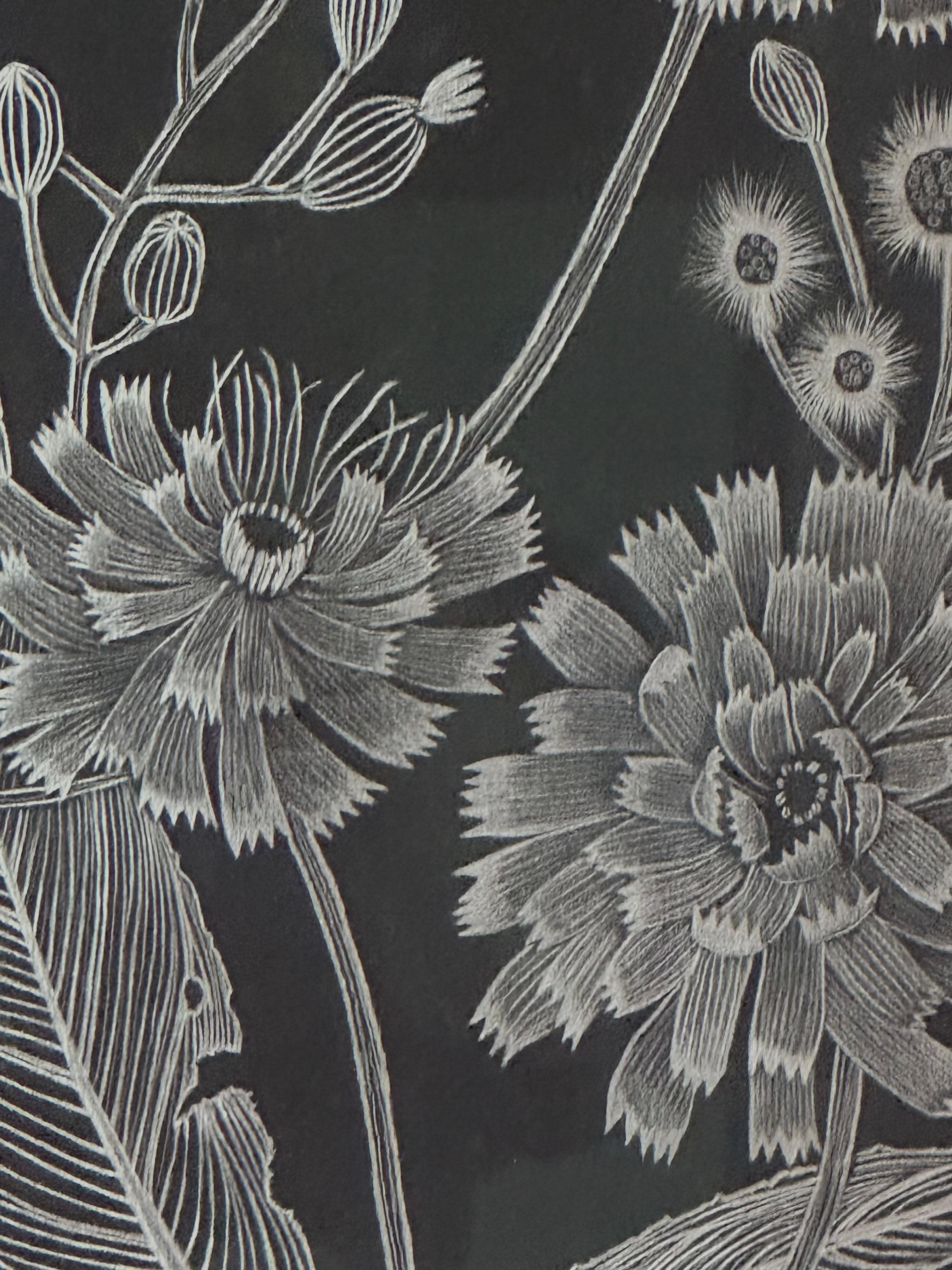 Hawkweed - Disegno di pianta botanica in argento metallizzato su carta nera, 2022 in vendita 2