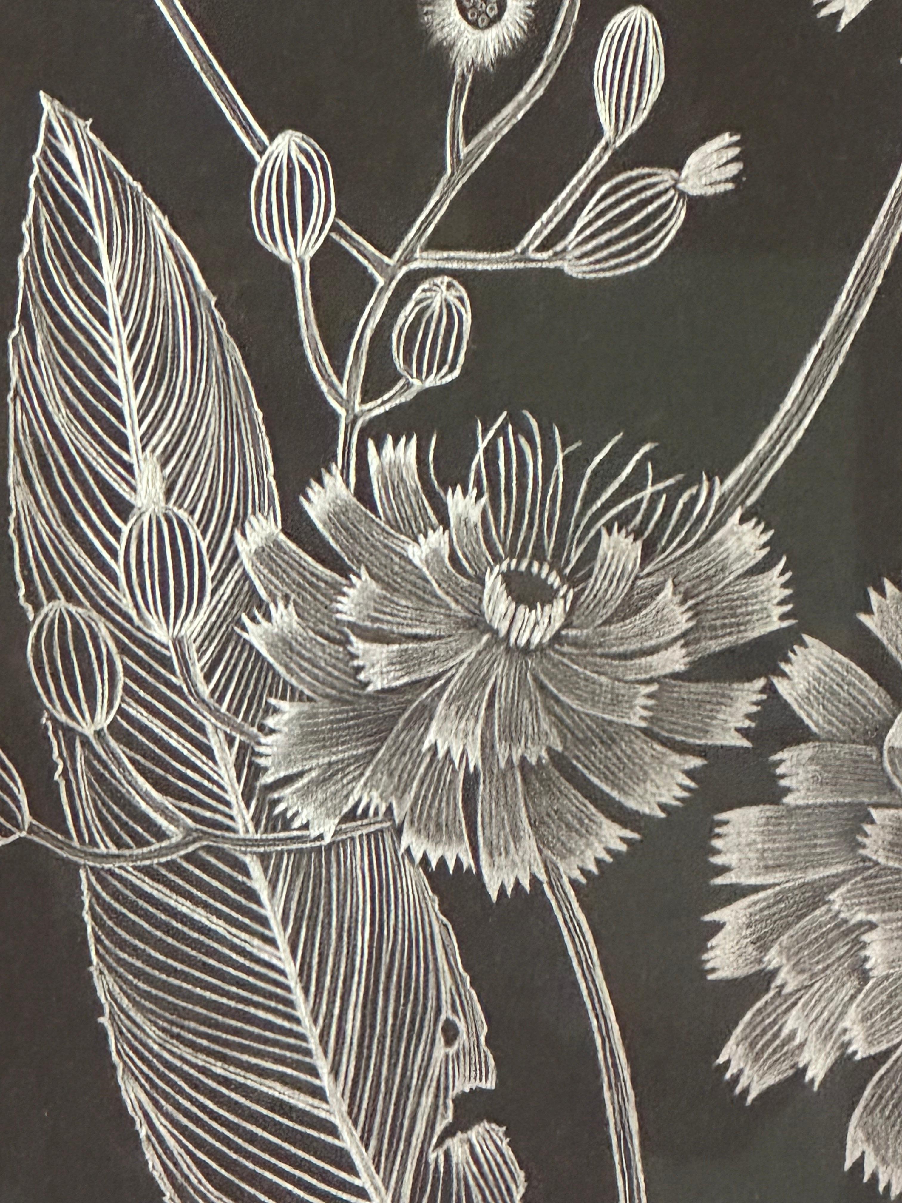 Hawkweed - Disegno di pianta botanica in argento metallizzato su carta nera, 2022 in vendita 5