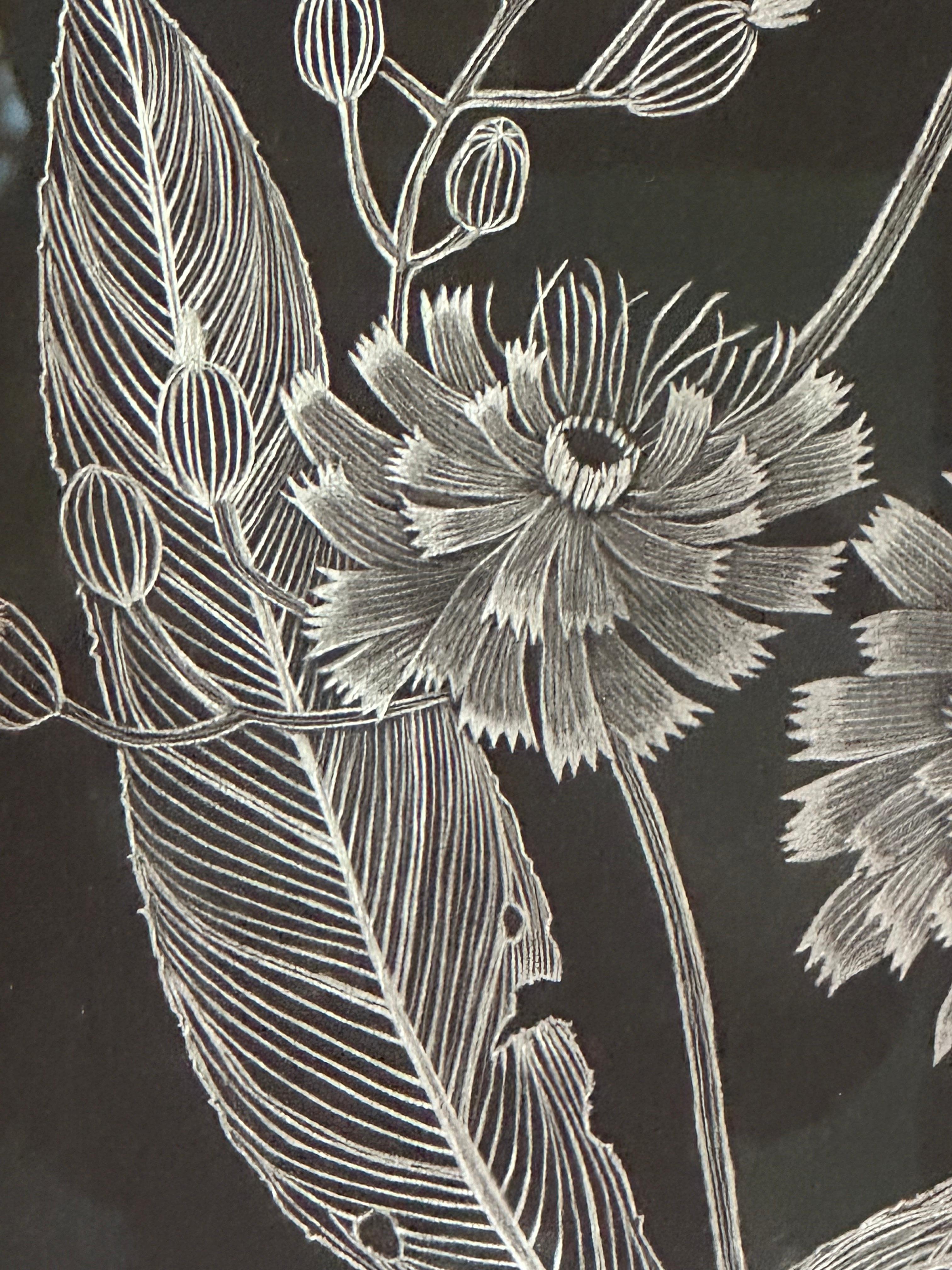 Hawkweed - Disegno di pianta botanica in argento metallizzato su carta nera, 2022 in vendita 6