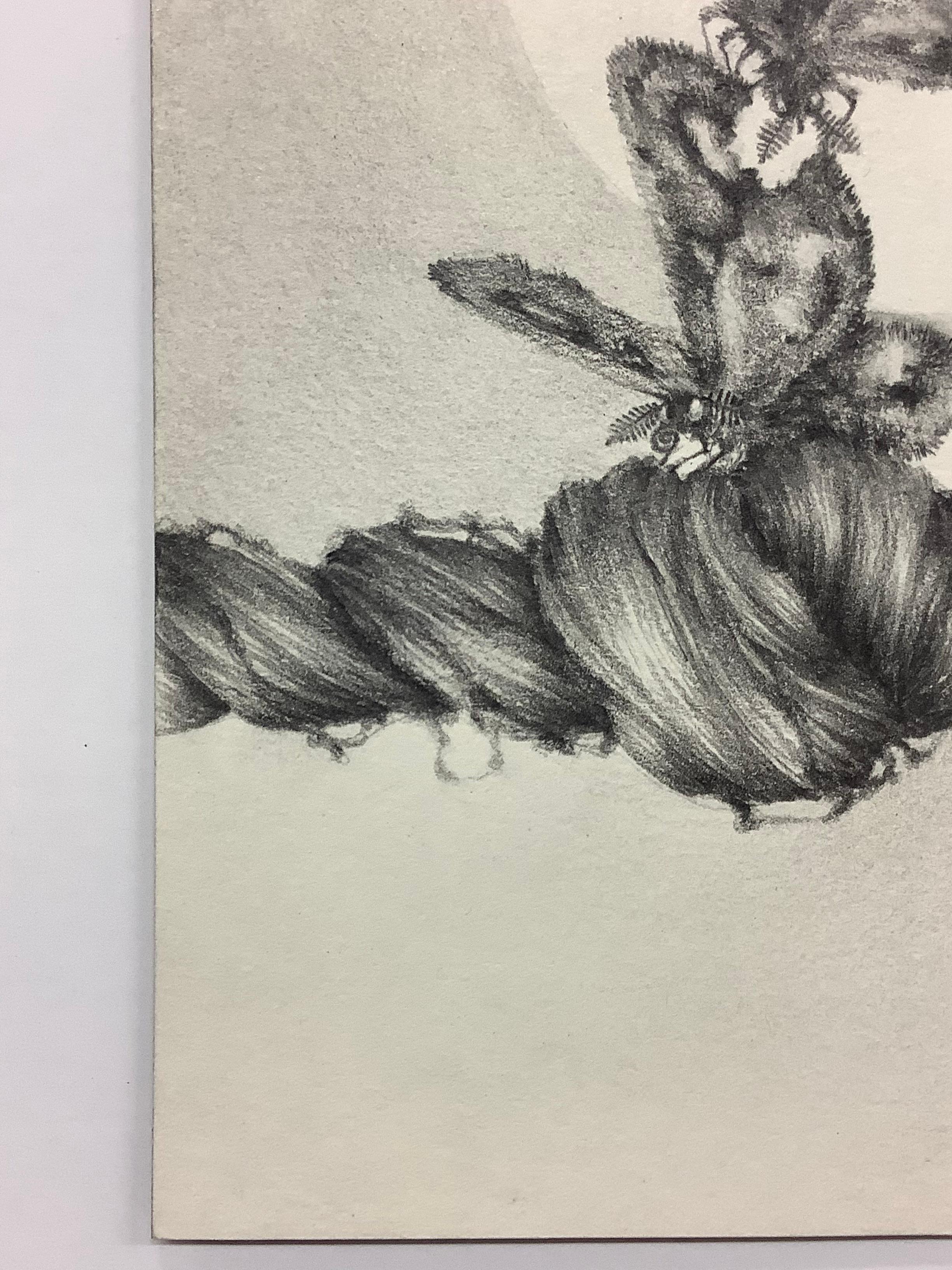 Chapitre Fine Focus - Dessin au crayon contemporain papillons de nuit sur tresse de cheveux, 2017. - Contemporain Art par Francine Fox