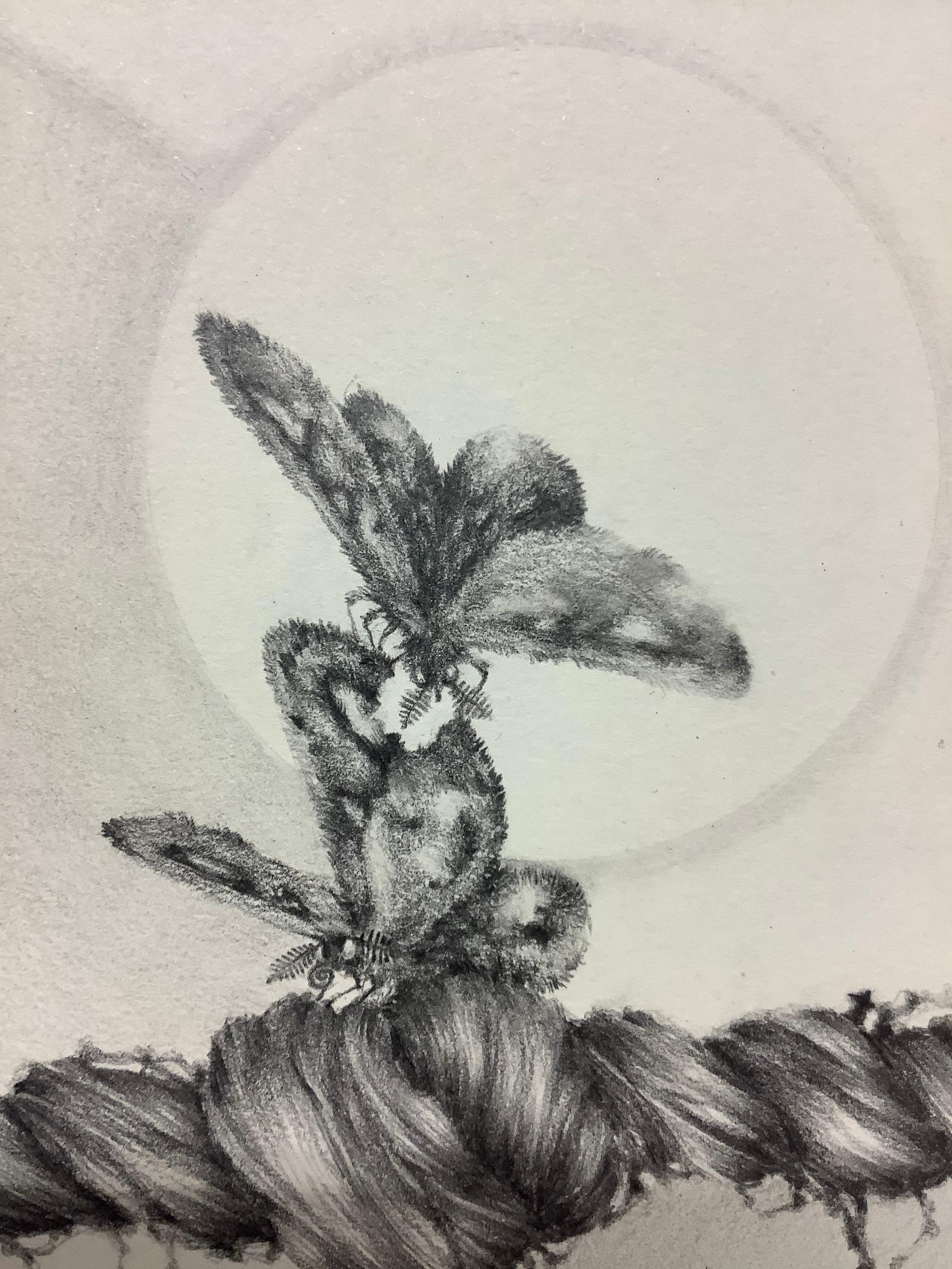 Chapitre Fine Focus - Dessin au crayon contemporain papillons de nuit sur tresse de cheveux, 2017. - Gris Abstract Drawing par Francine Fox