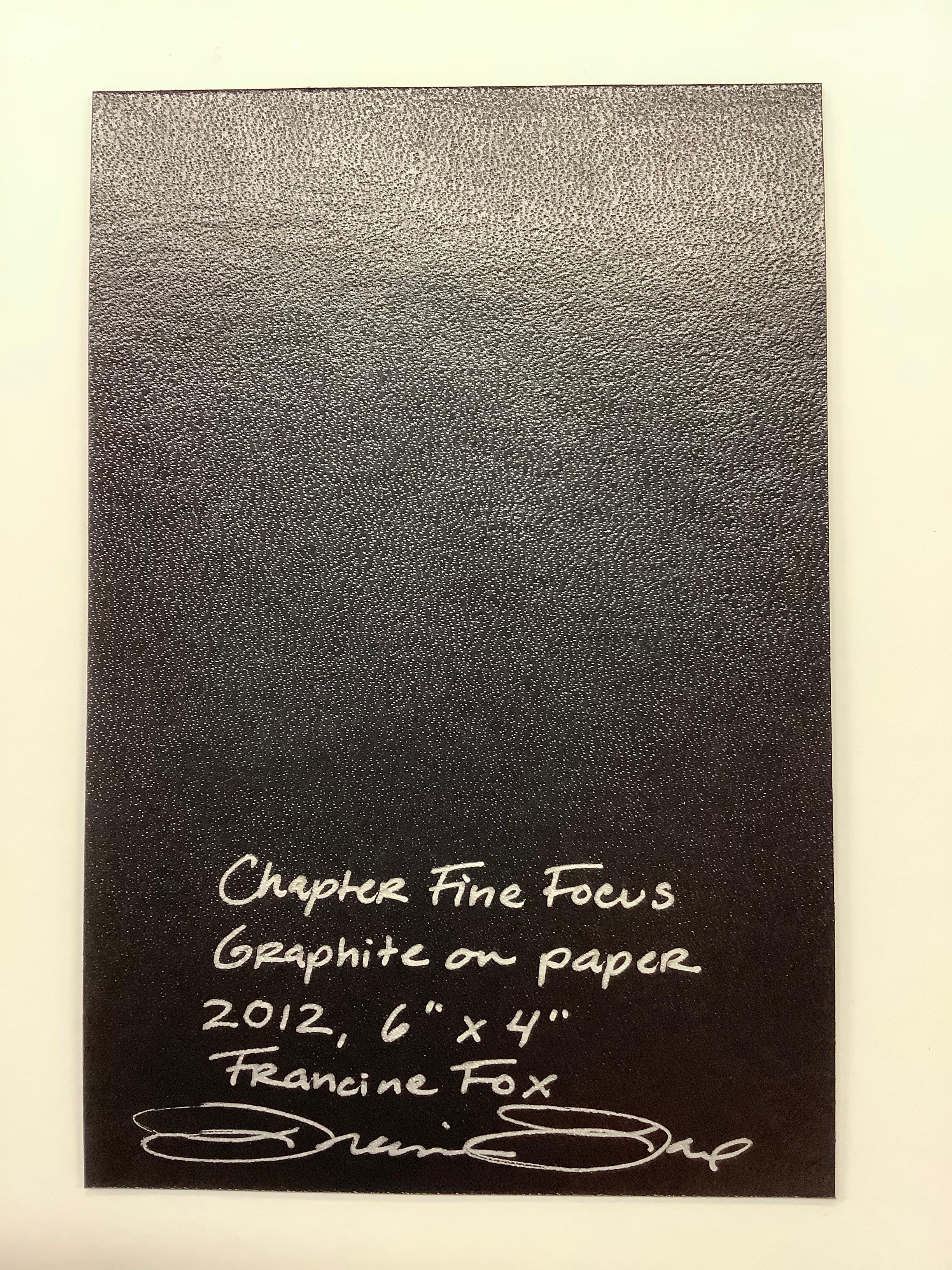 Chapitre Fine Focus - Dessin au crayon contemporain papillons de nuit sur tresse de cheveux, 2017. en vente 2