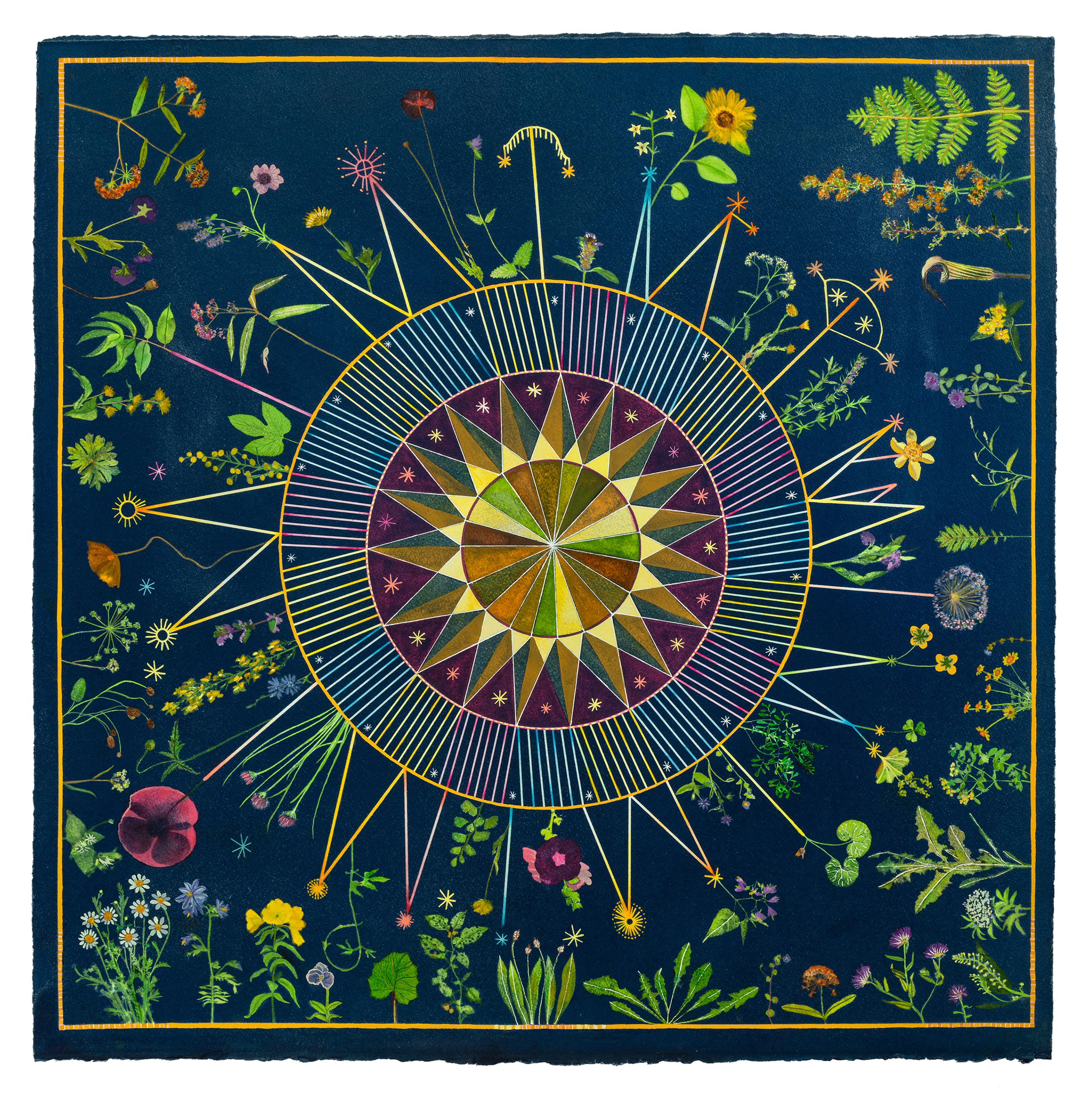 Planting Utopia Celestial Garden - Cyanotype Painting Flowers Blue, 2024