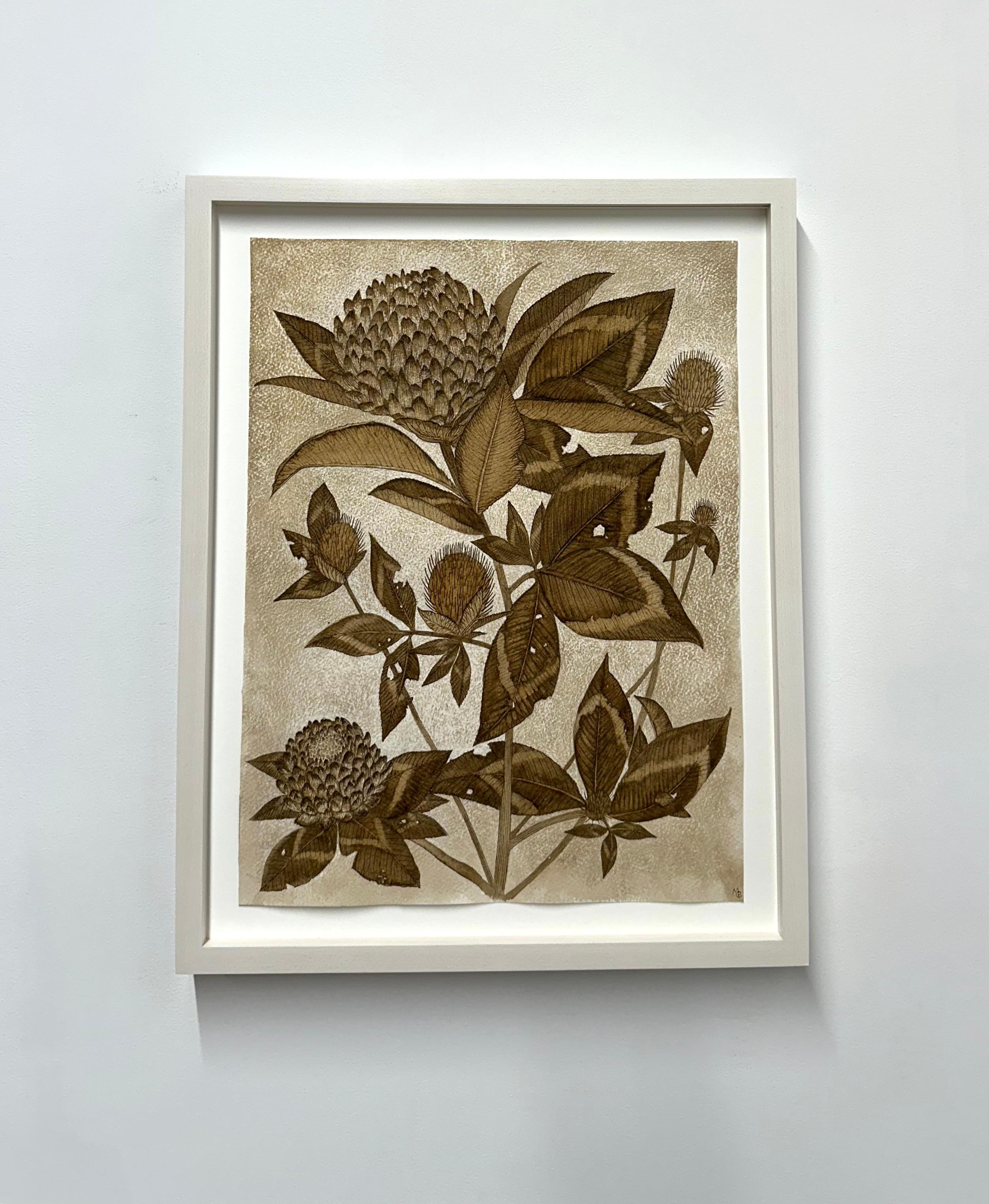 Trifoglio rosso - Pianta botanica di fiori selvatici Foglie di fiori Inchiostro marrone noce, 2024 - Art Contemporaneo di Margot Glass